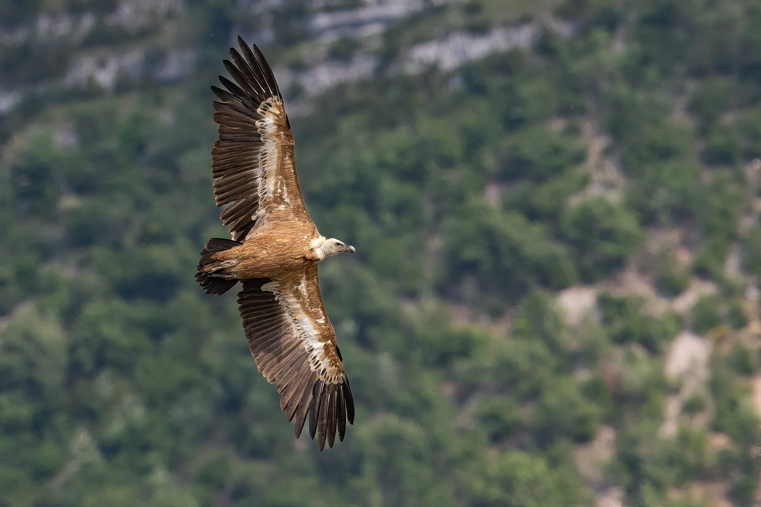 075A1529 2-Bearbeitet.jpg