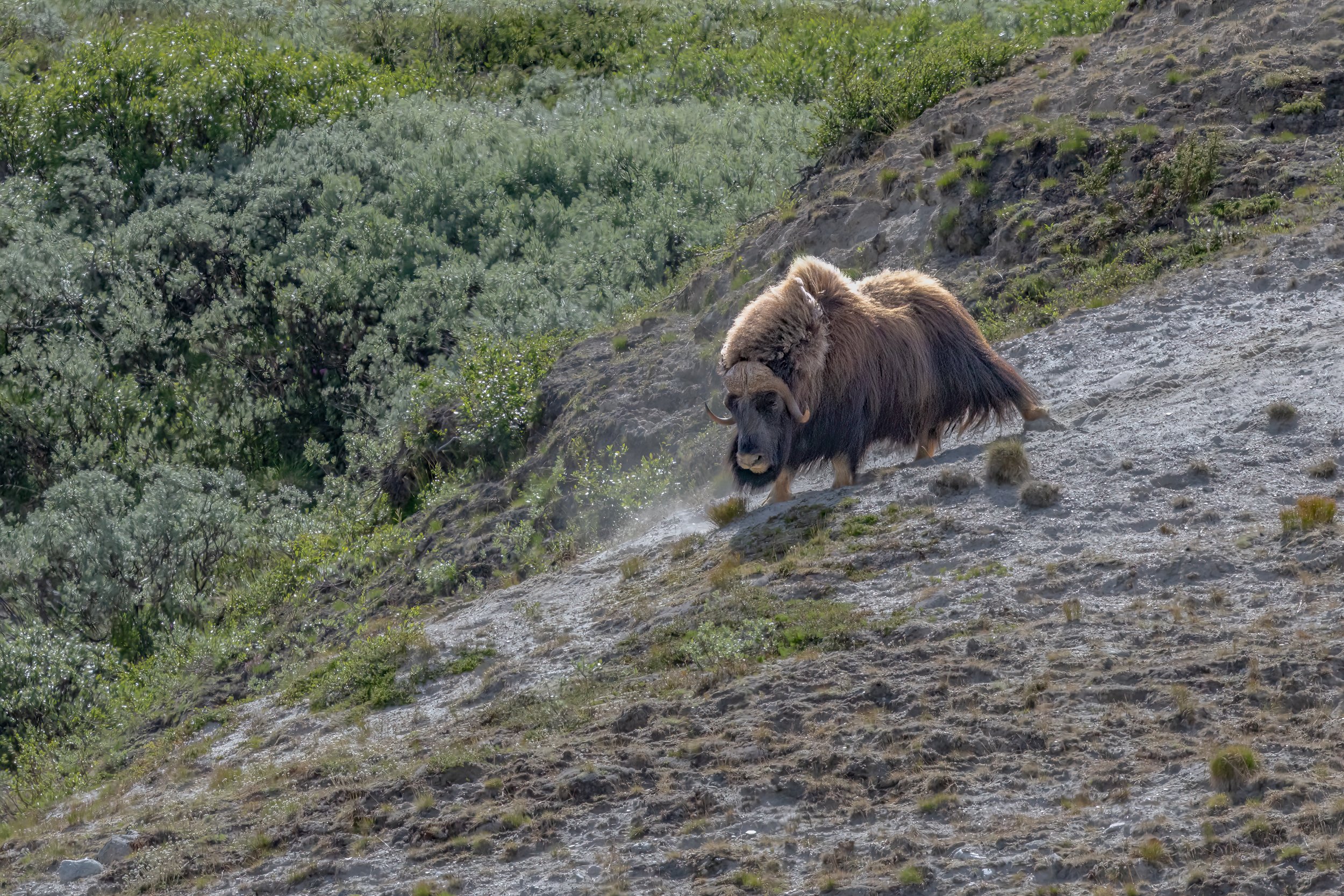 032A7321-Bearbeitet-6.jpg