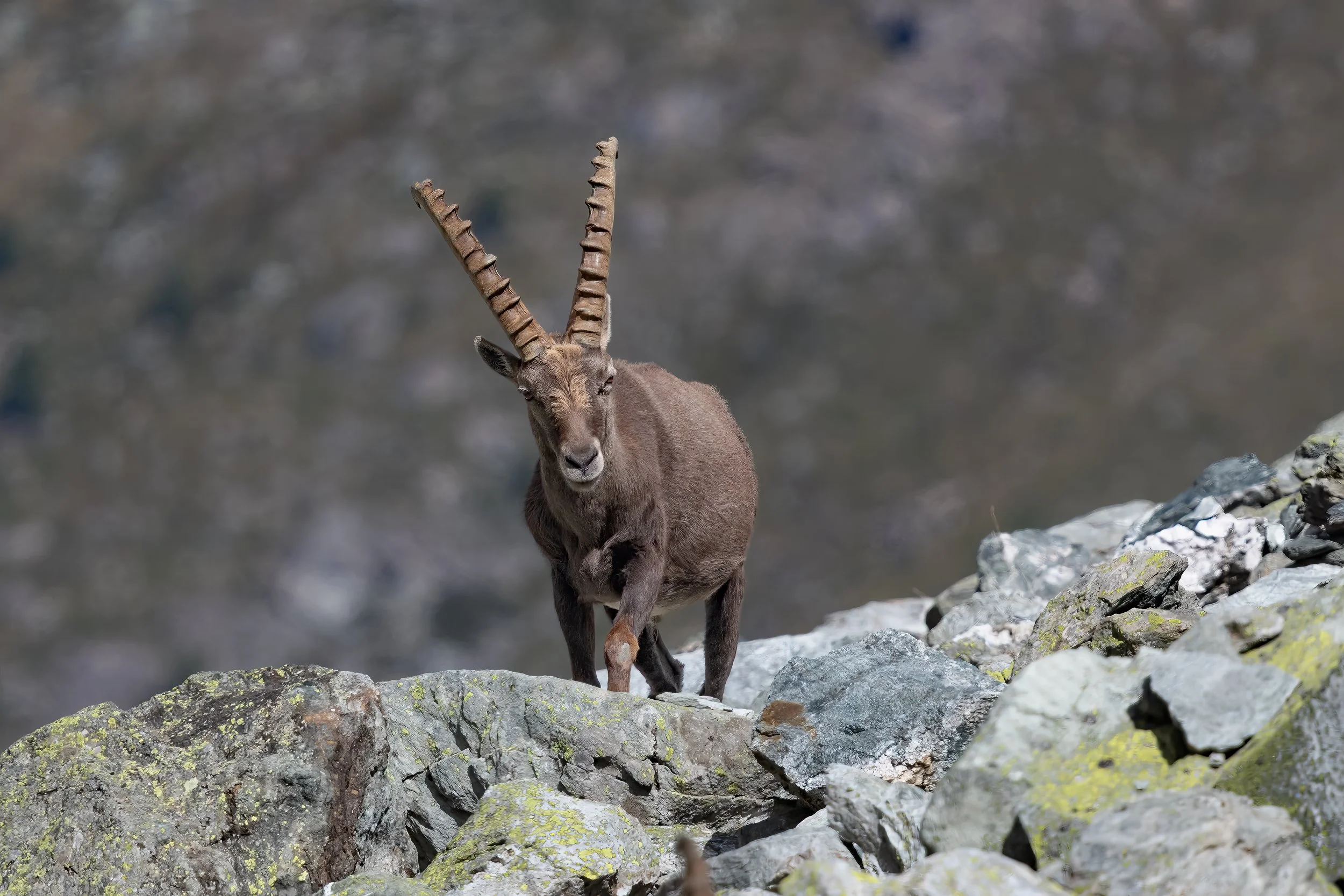 032A6799-Bearbeitet.jpg