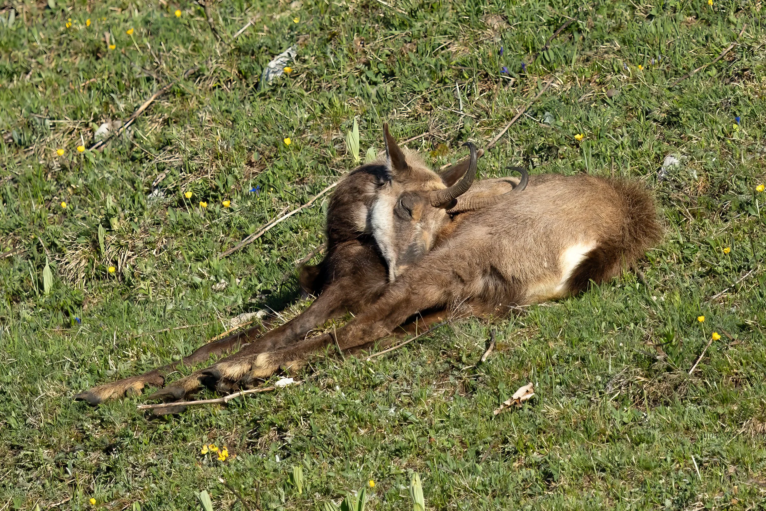 NR6A8449-Bearbeitet.jpg