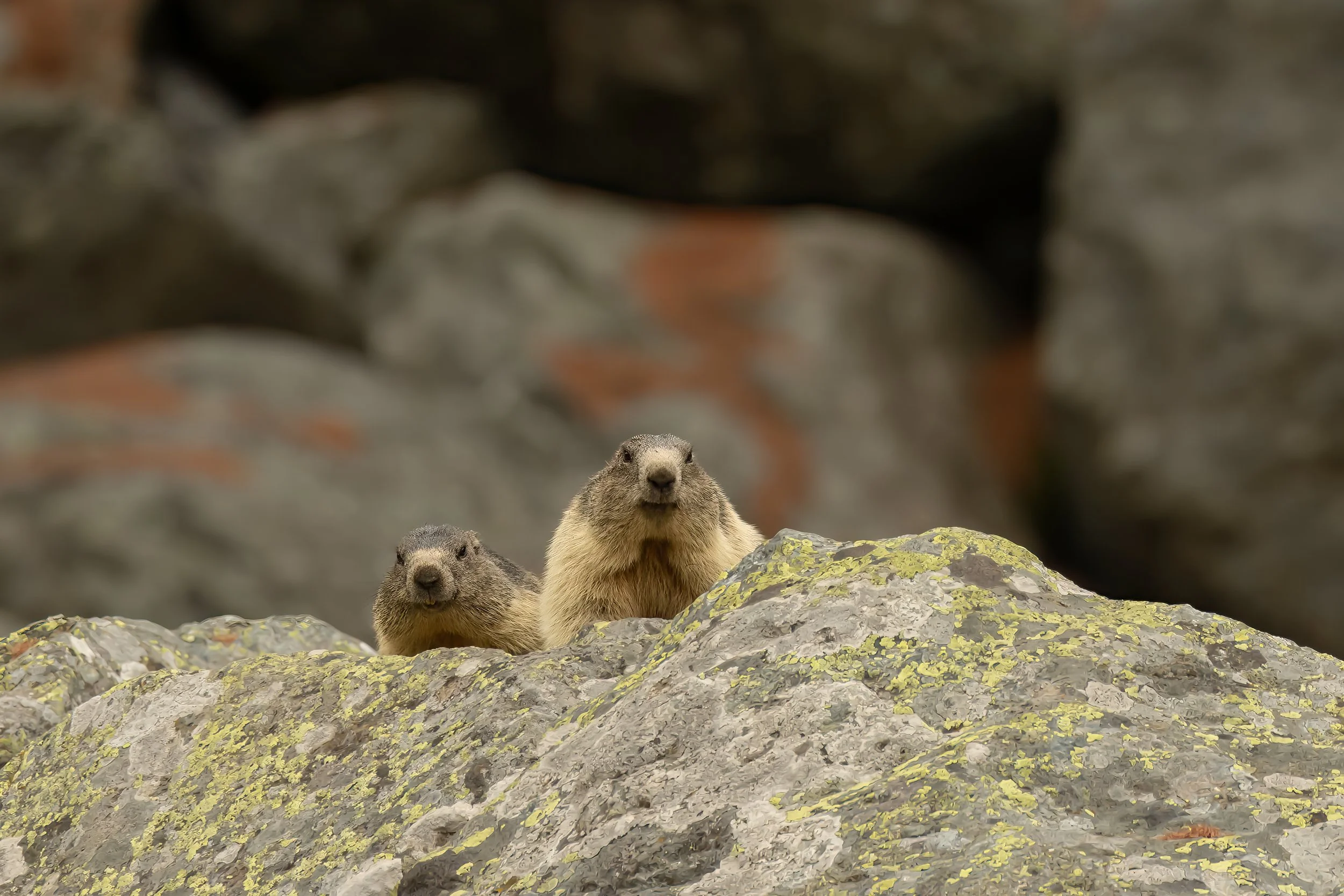 3W1A6739-Bearbeitet-2-3.jpg