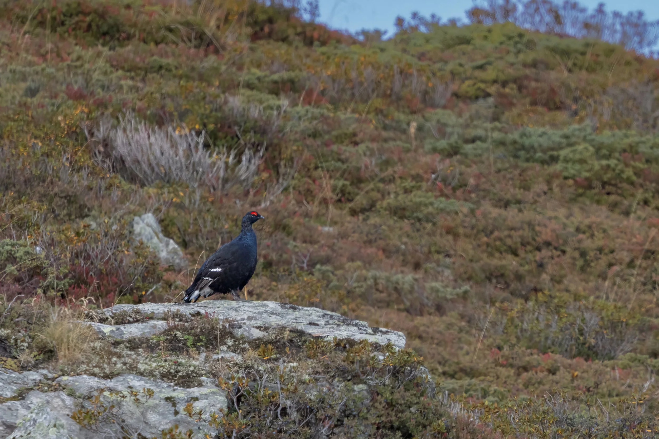 032A0078-Bearbeitet.jpg