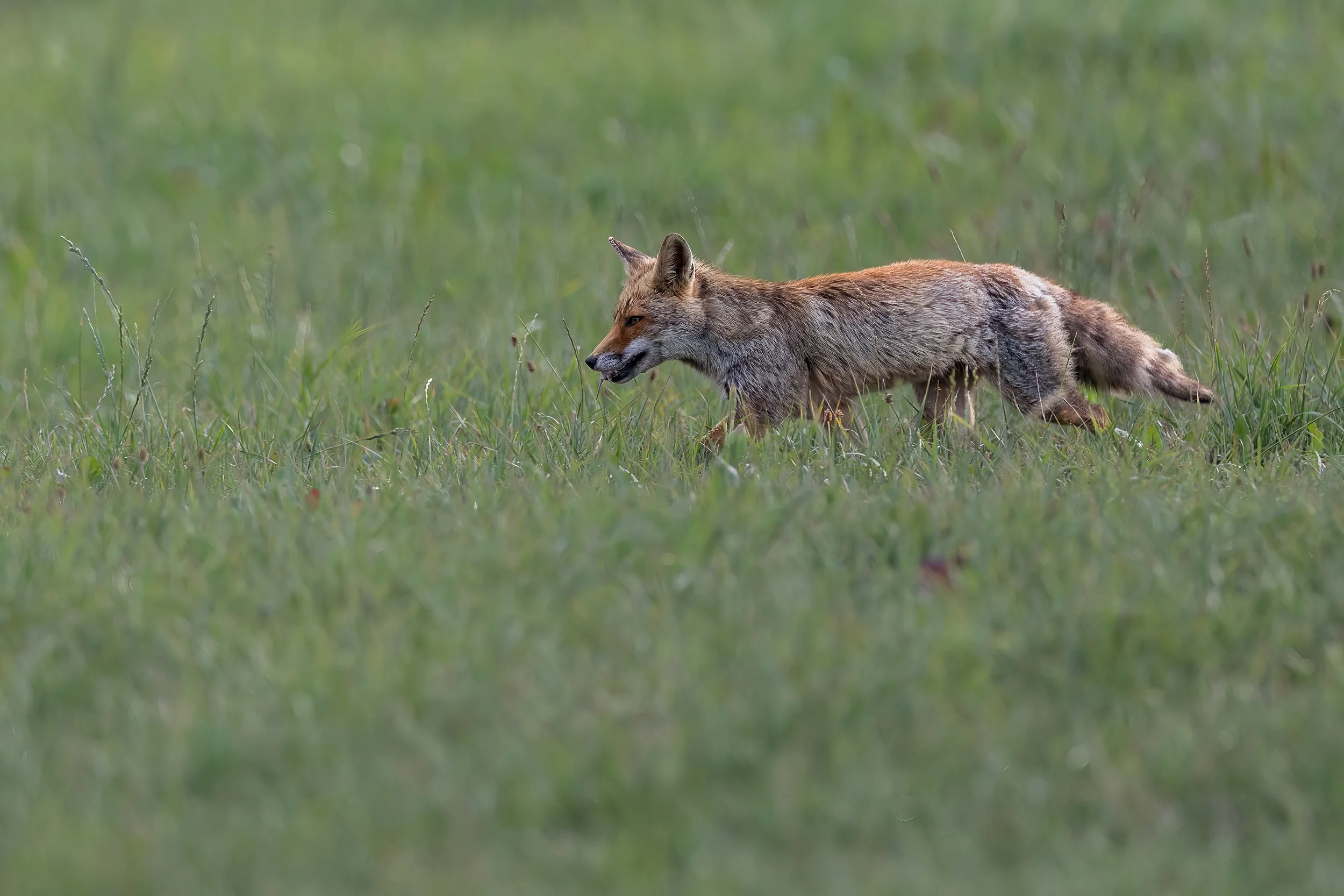 032A0013-Bearbeitet.jpg