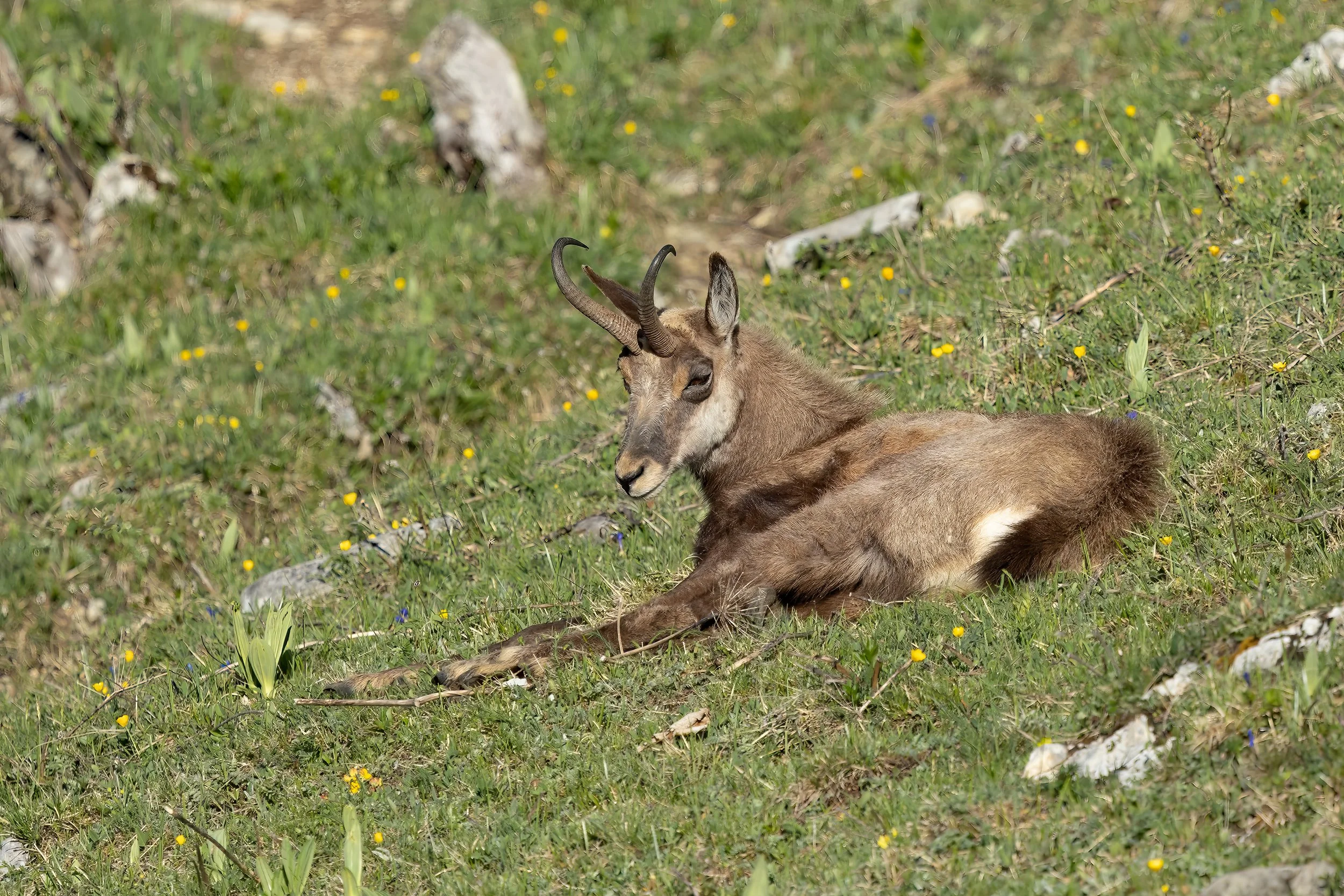 NR6A8653-Bearbeitet.jpg