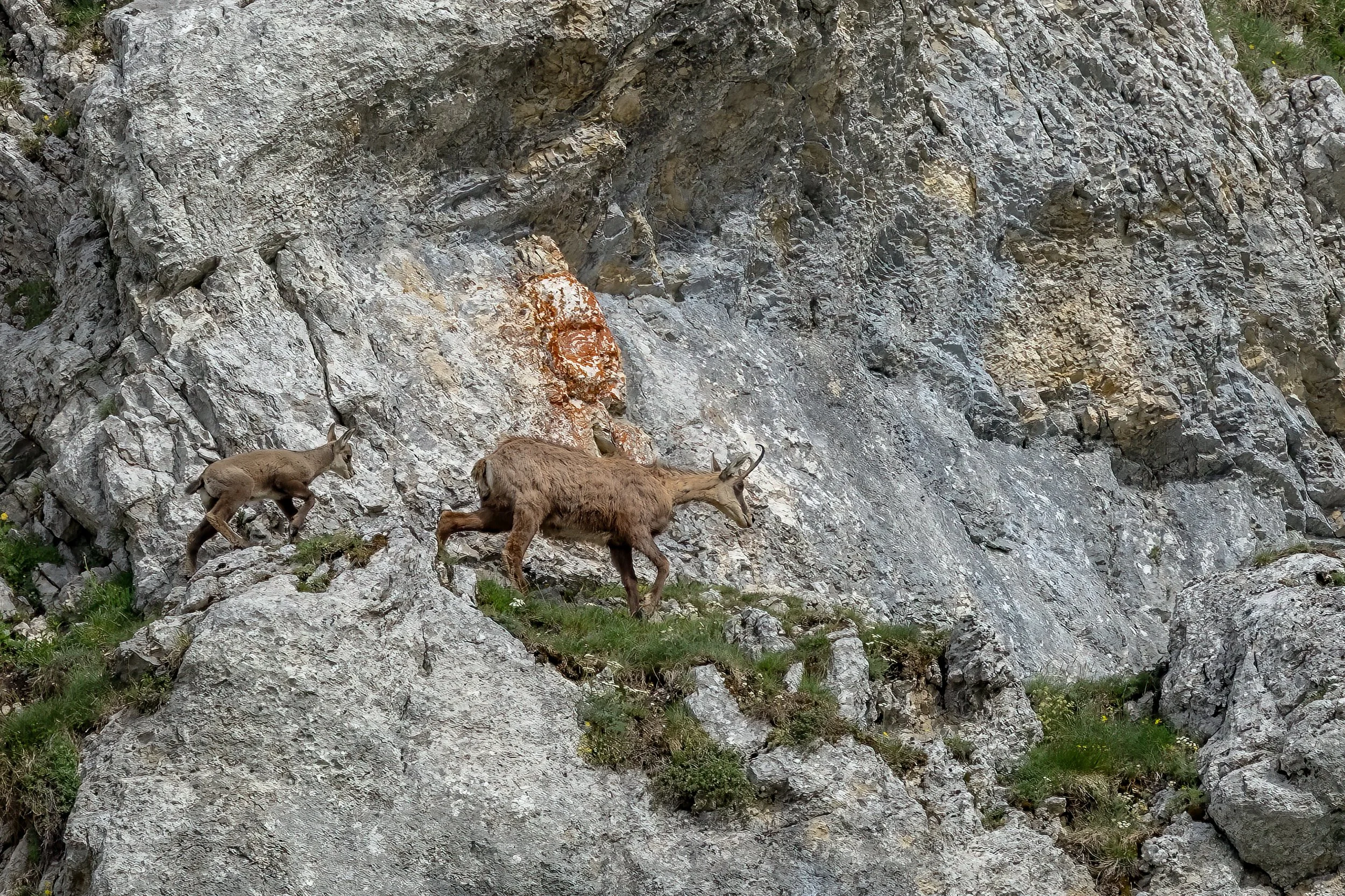 NR6A2303-Bearbeitet.jpg