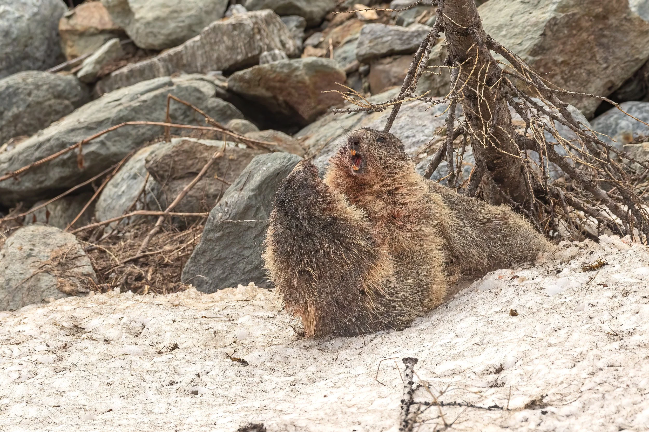3W1A5863-3-Bearbeitet.jpg