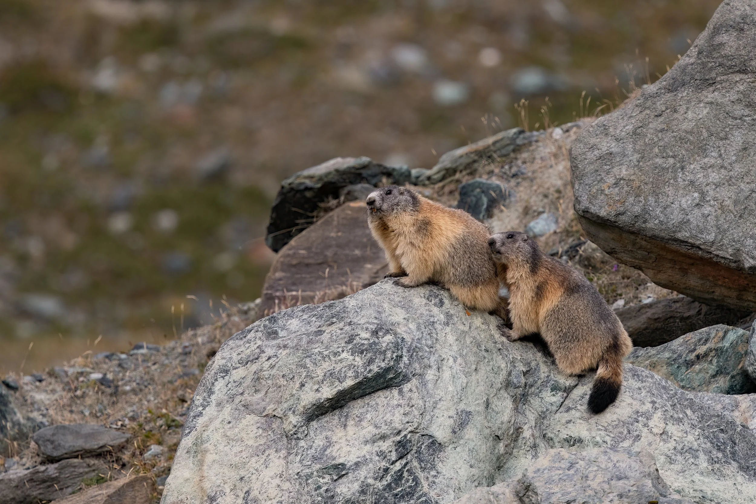 032A5064-Bearbeitet-2.jpg