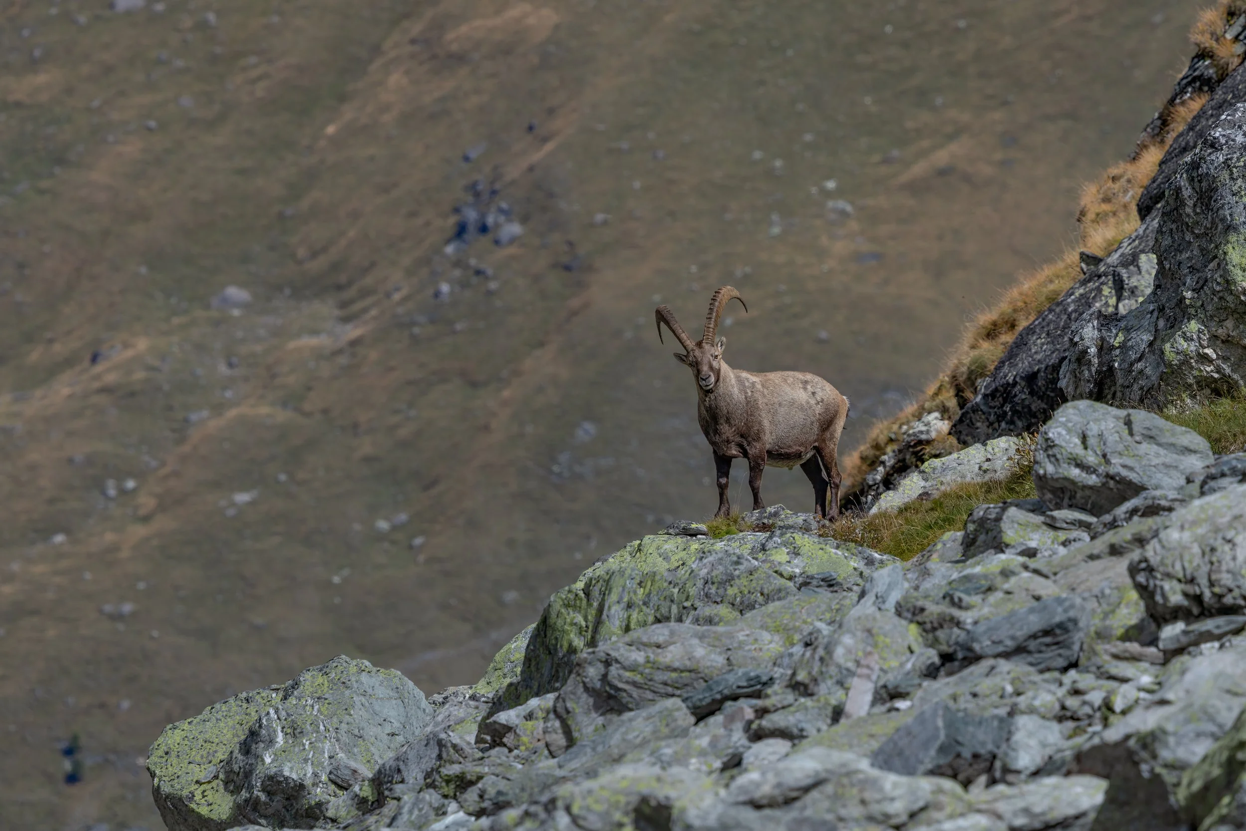 032A6393-Bearbeitet-2.jpg