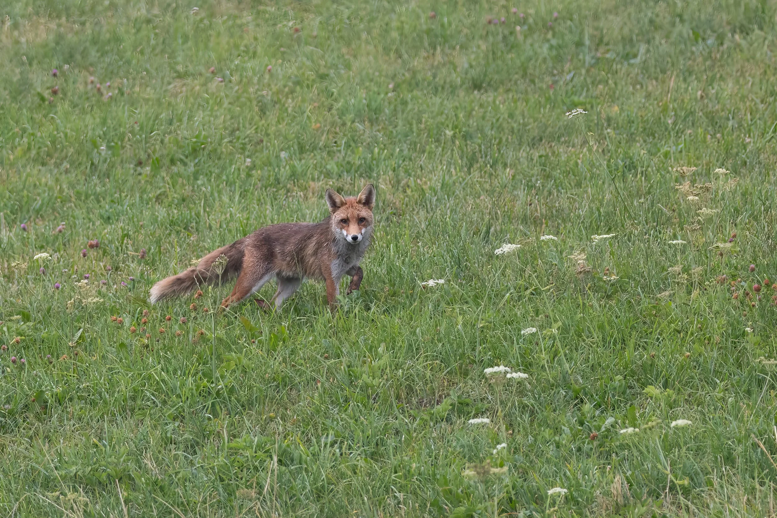 032A3663-Bearbeitet-2.jpg