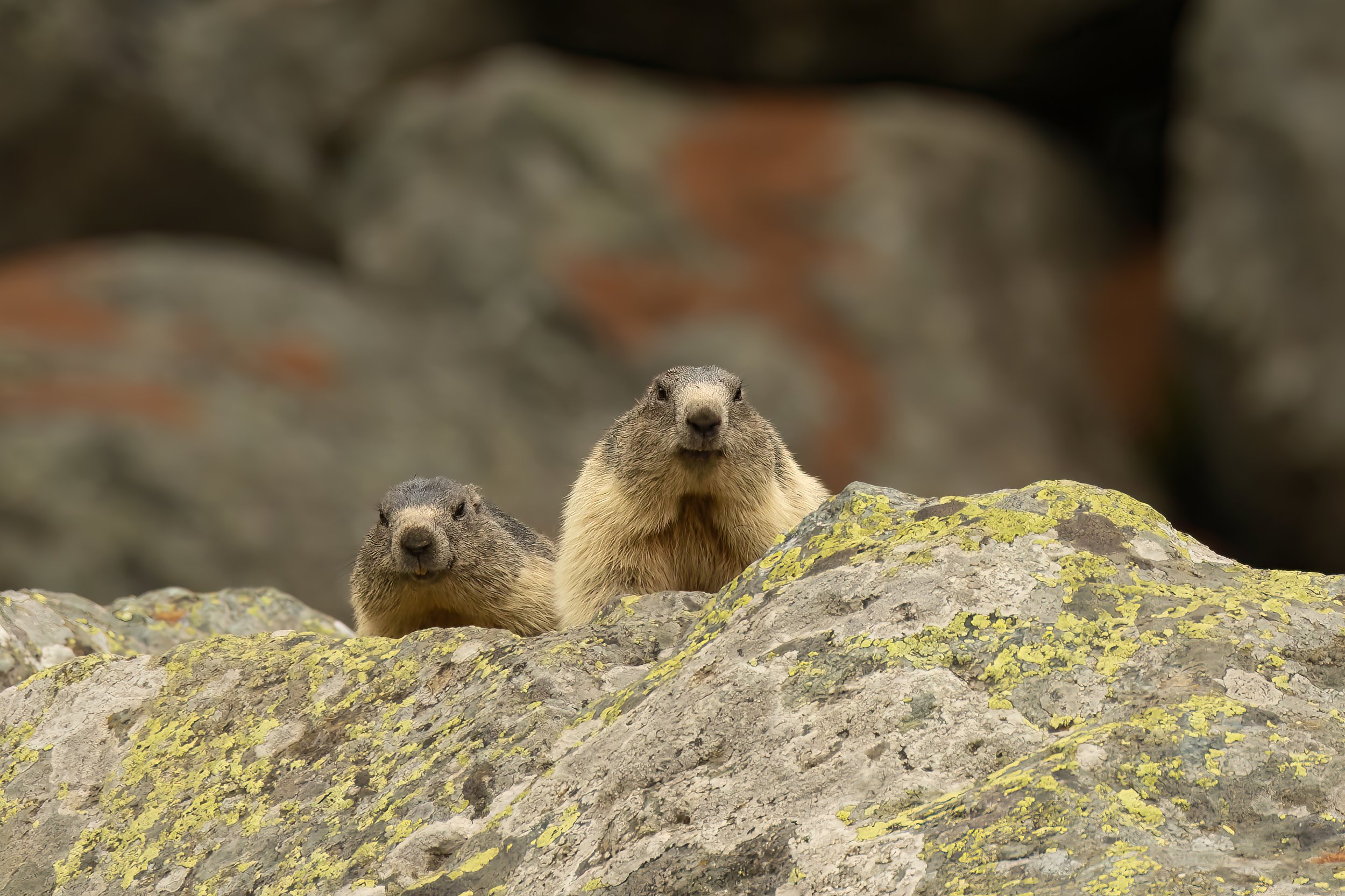 3W1A6739-Bearbeitet.jpg