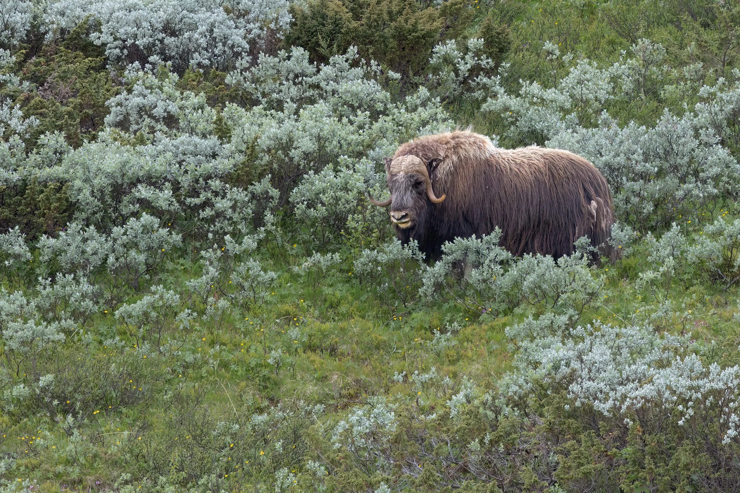 032A9789-Bearbeitet-Bearbeitet-3.jpg
