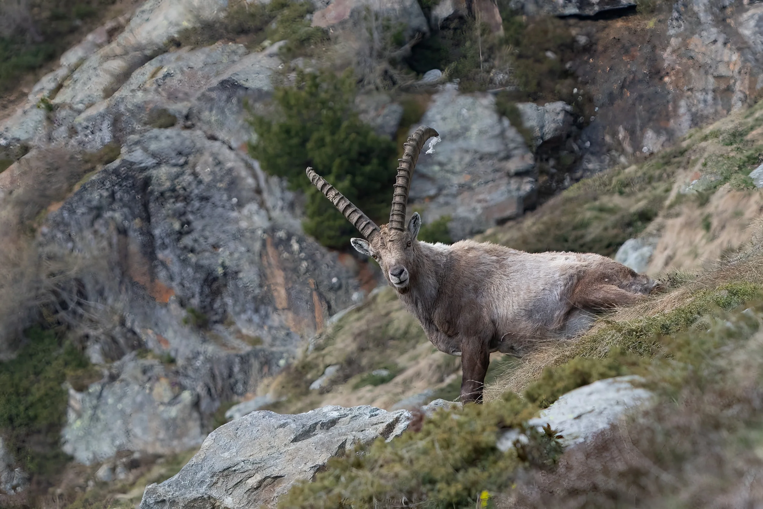 2Z8A3702-Bearbeitet.jpg