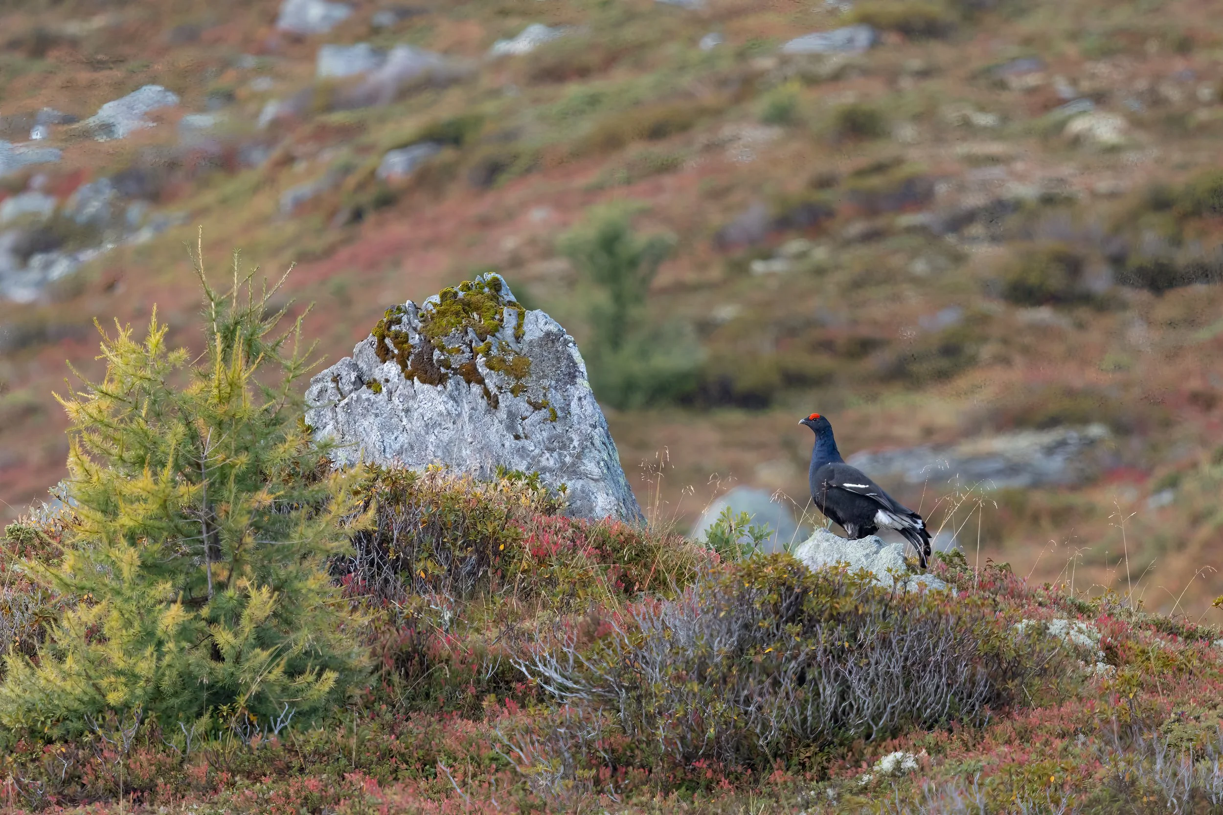 032A9577-Bearbeitet.jpg