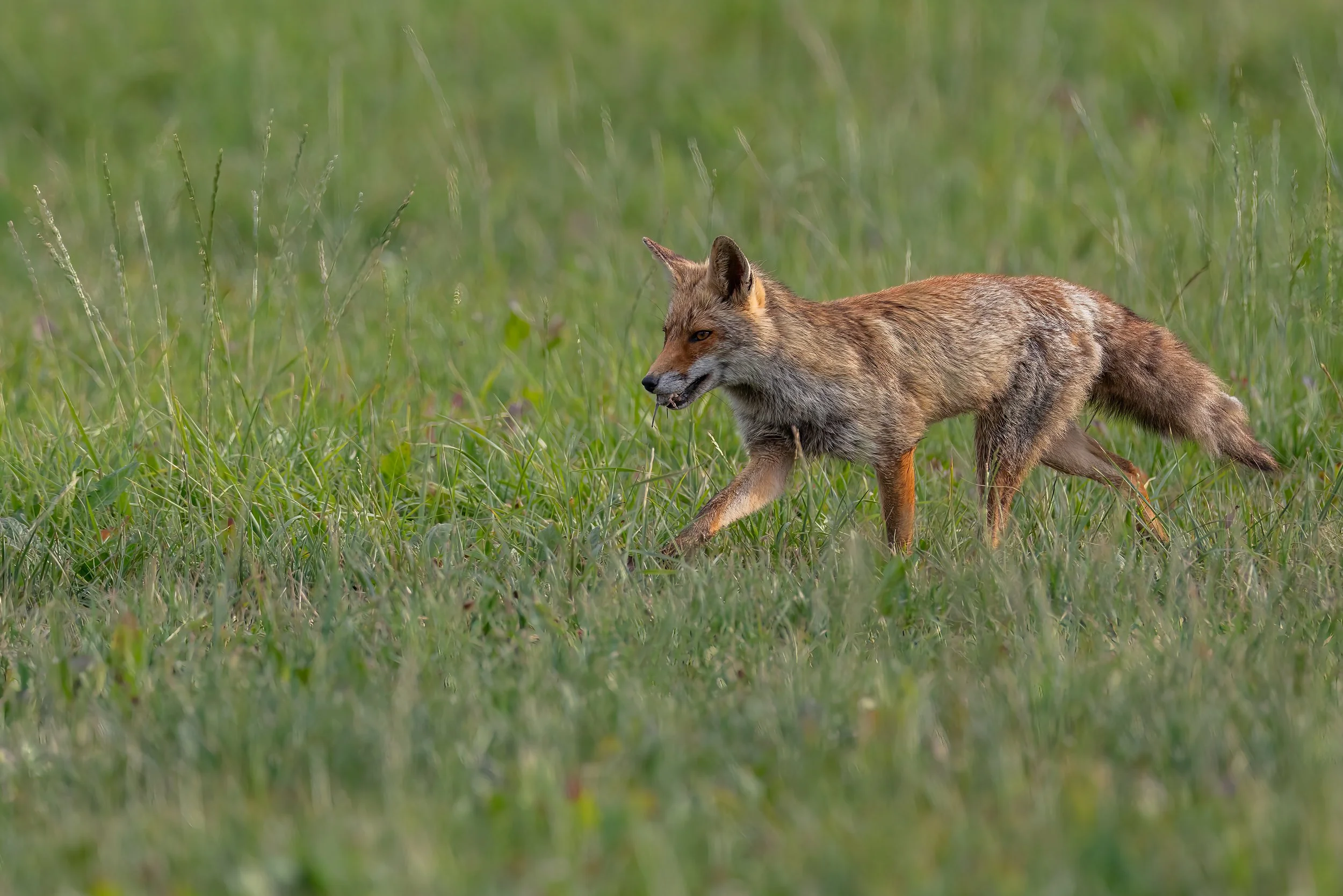032A0073-Bearbeitet.jpg