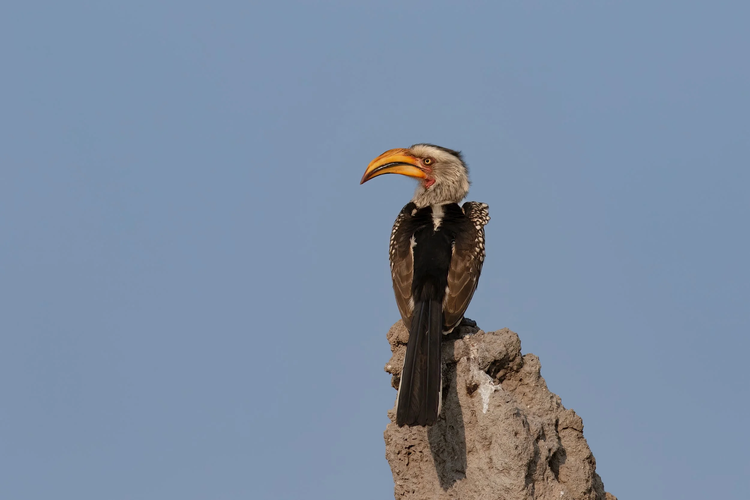 2Z8A7140-Bearbeitet-2.jpg