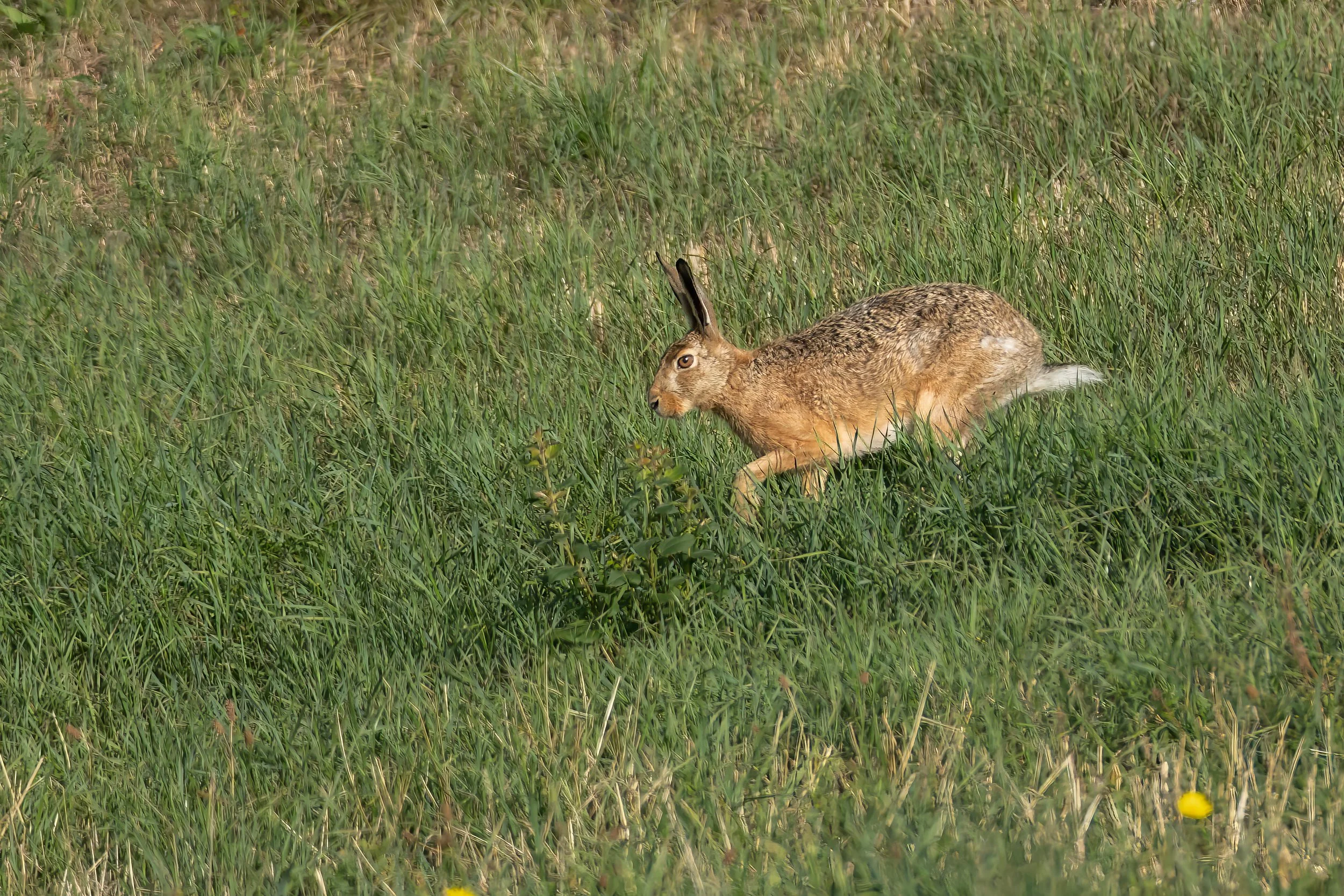 032A9062-Bearbeitet.jpg