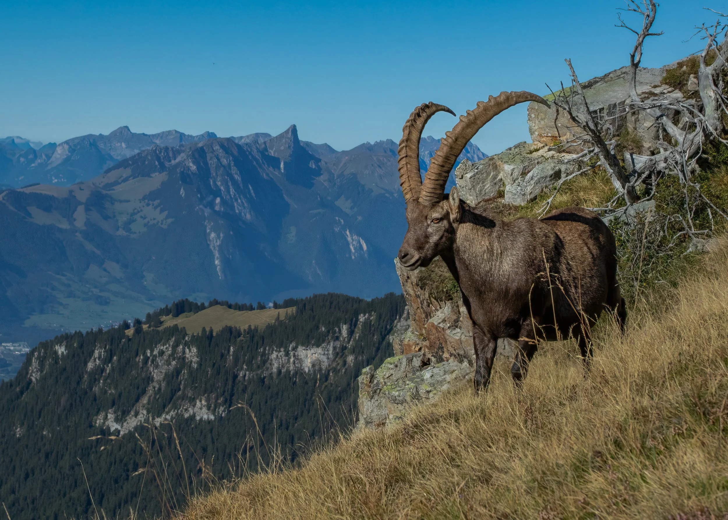 _Z8A4235-Bearbeitet-Bearbeitet.jpg