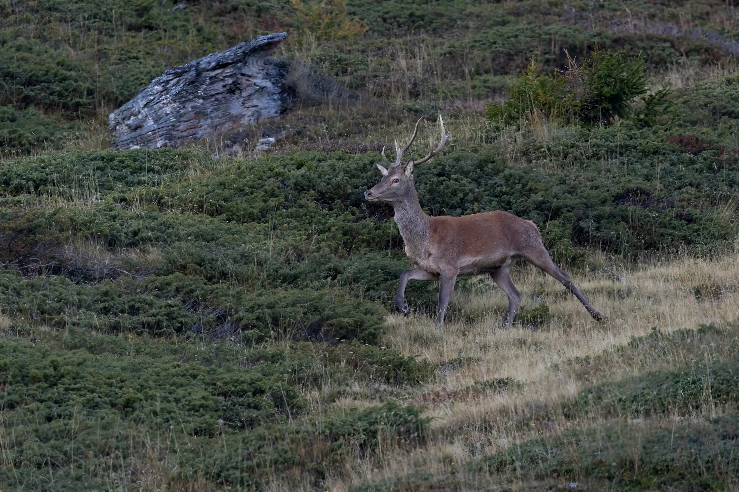 032A8528-Bearbeitet.jpg