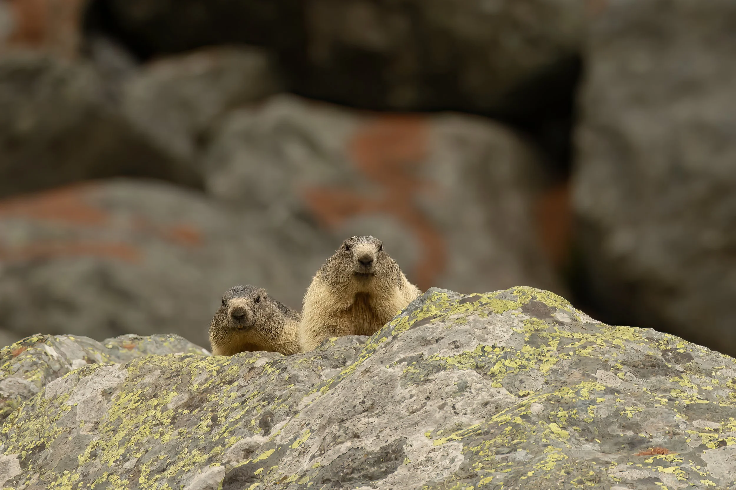 3W1A6739-Bearbeitet-2-2.jpg