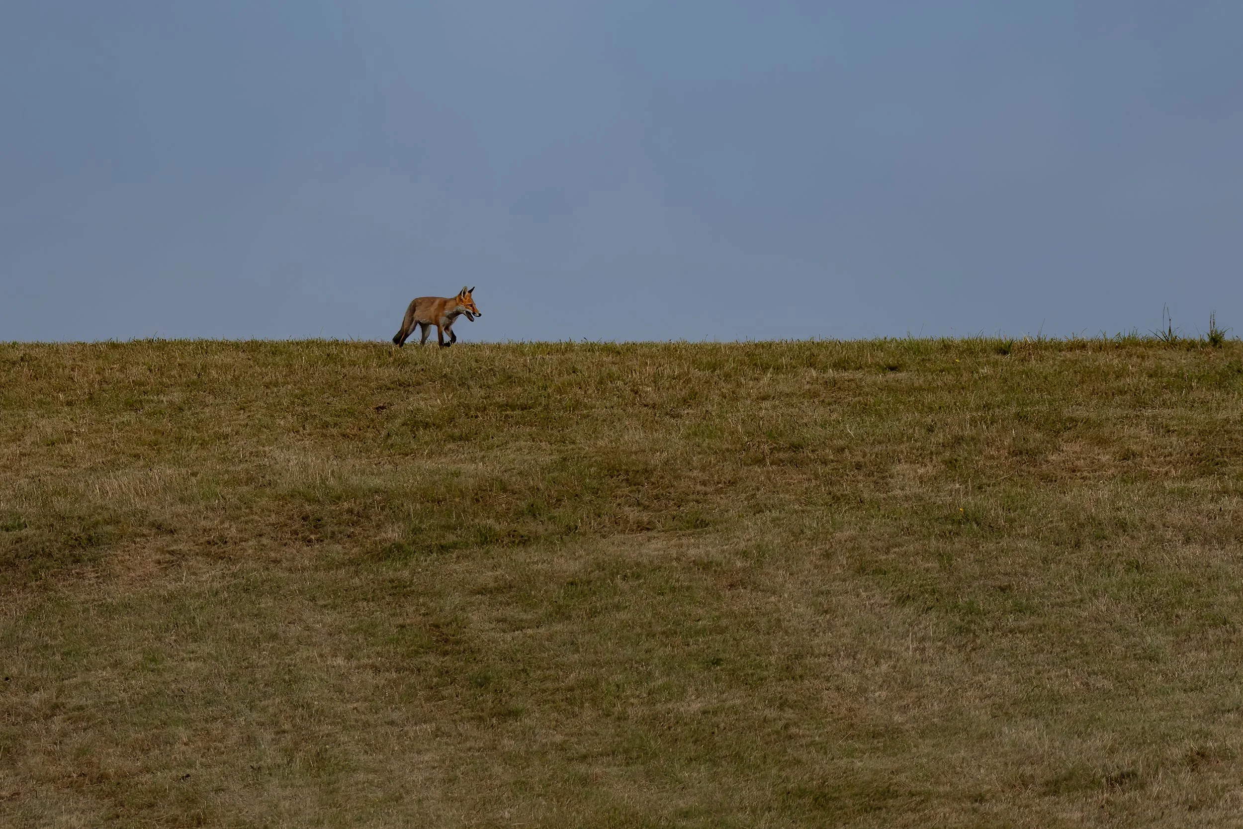 032A6869-Bearbeitet-2.jpg