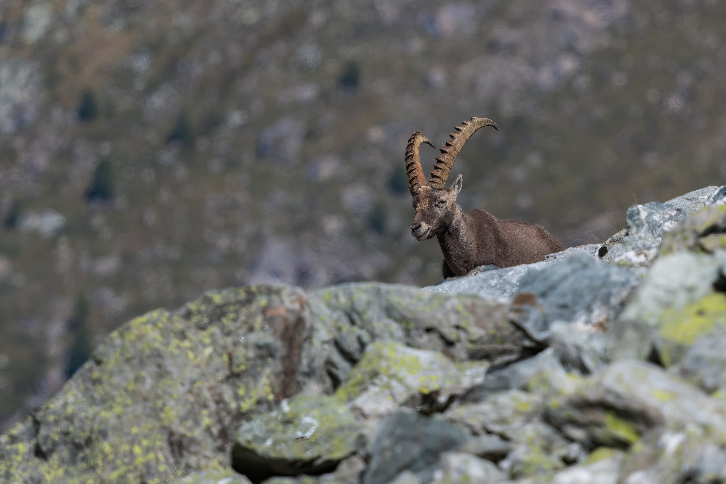 032A6648-Bearbeitet.jpg
