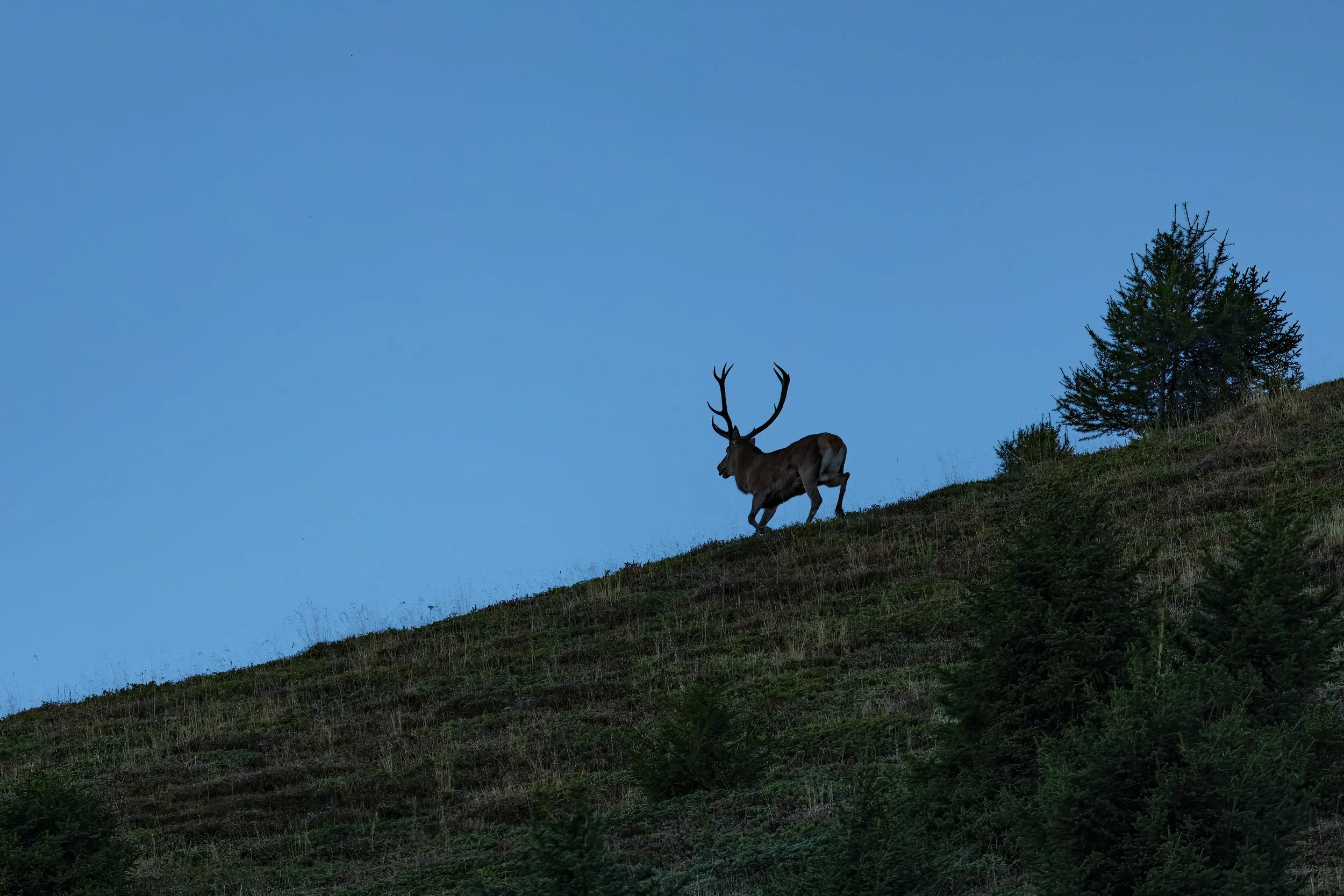 032A8366-Bearbeitet.jpg