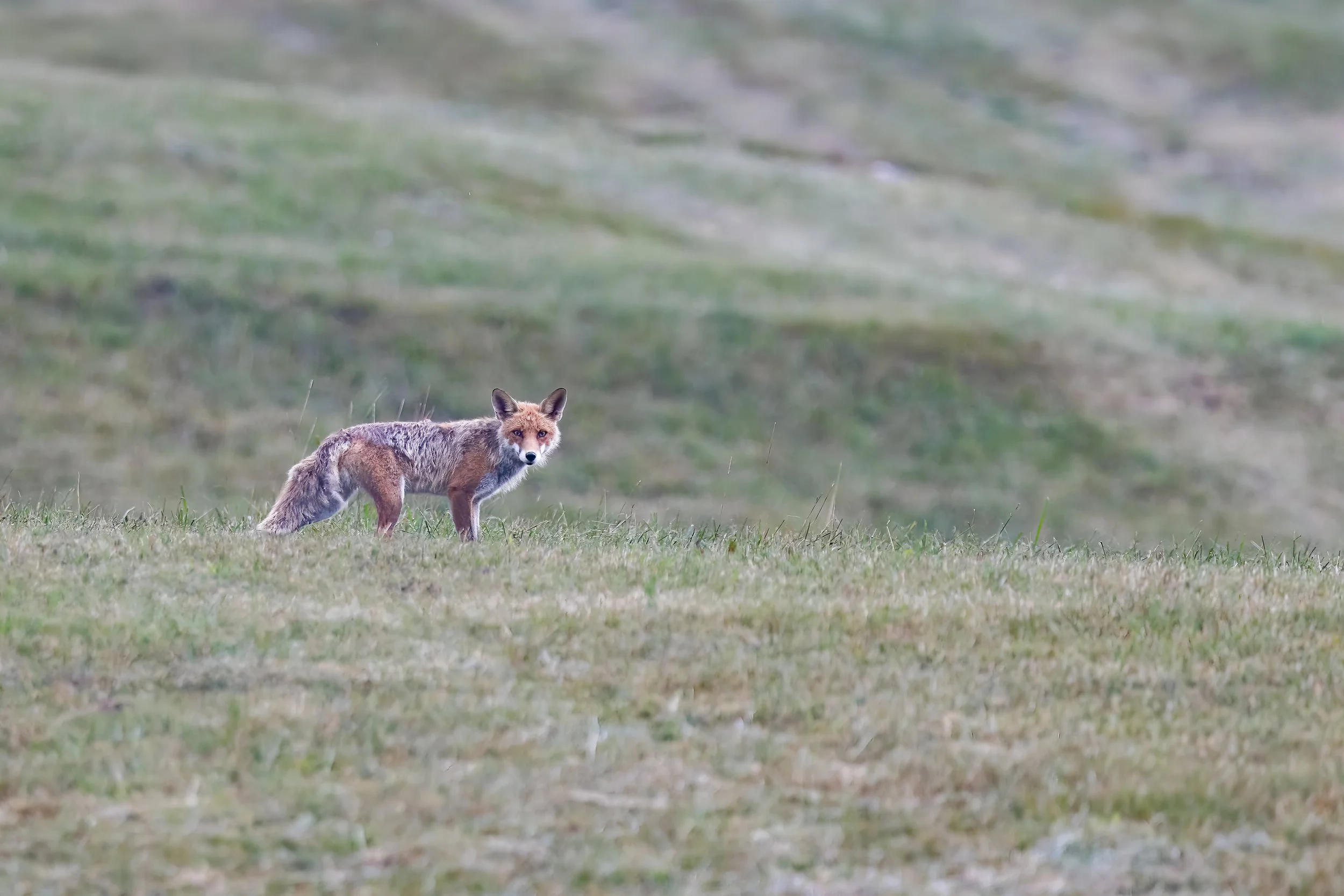 032A3526-Bearbeitet-6.jpg