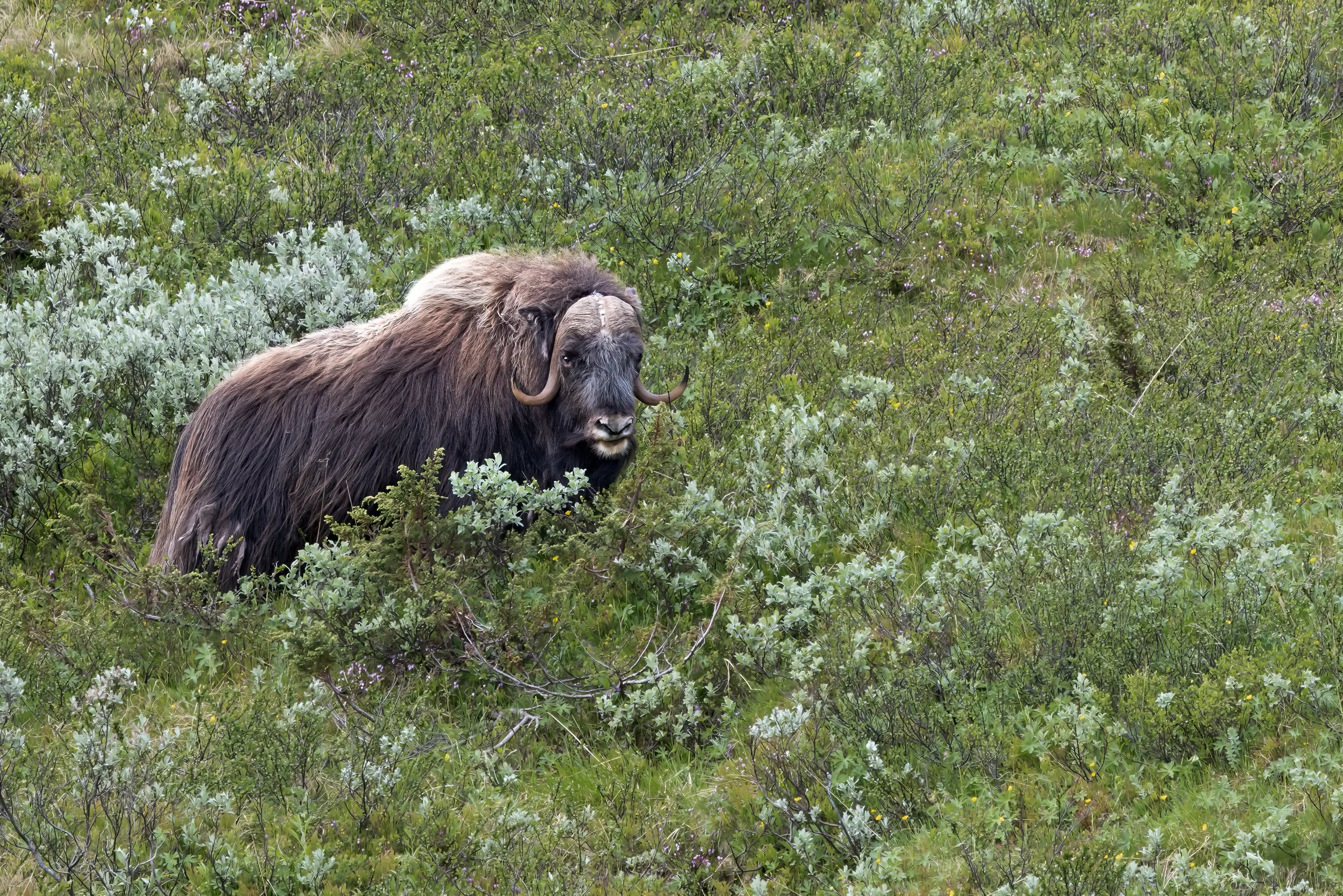 032A9493-Bearbeitet-2-Bearbeitet-Bearbeitet-3.jpg