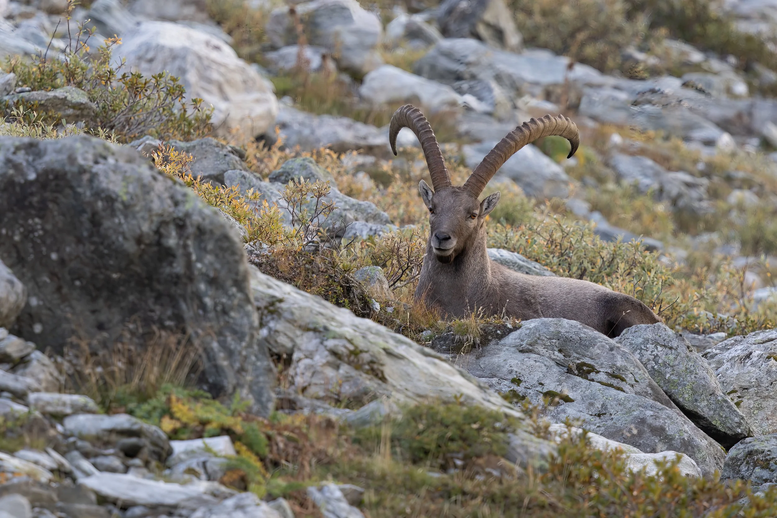 032A5637-Bearbeitet-3.jpg