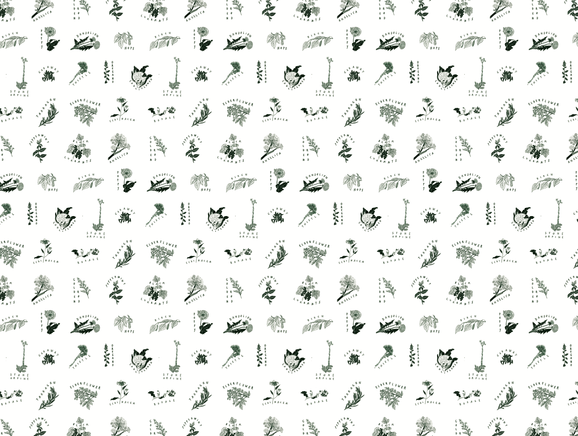 FrontPaper_Size.png