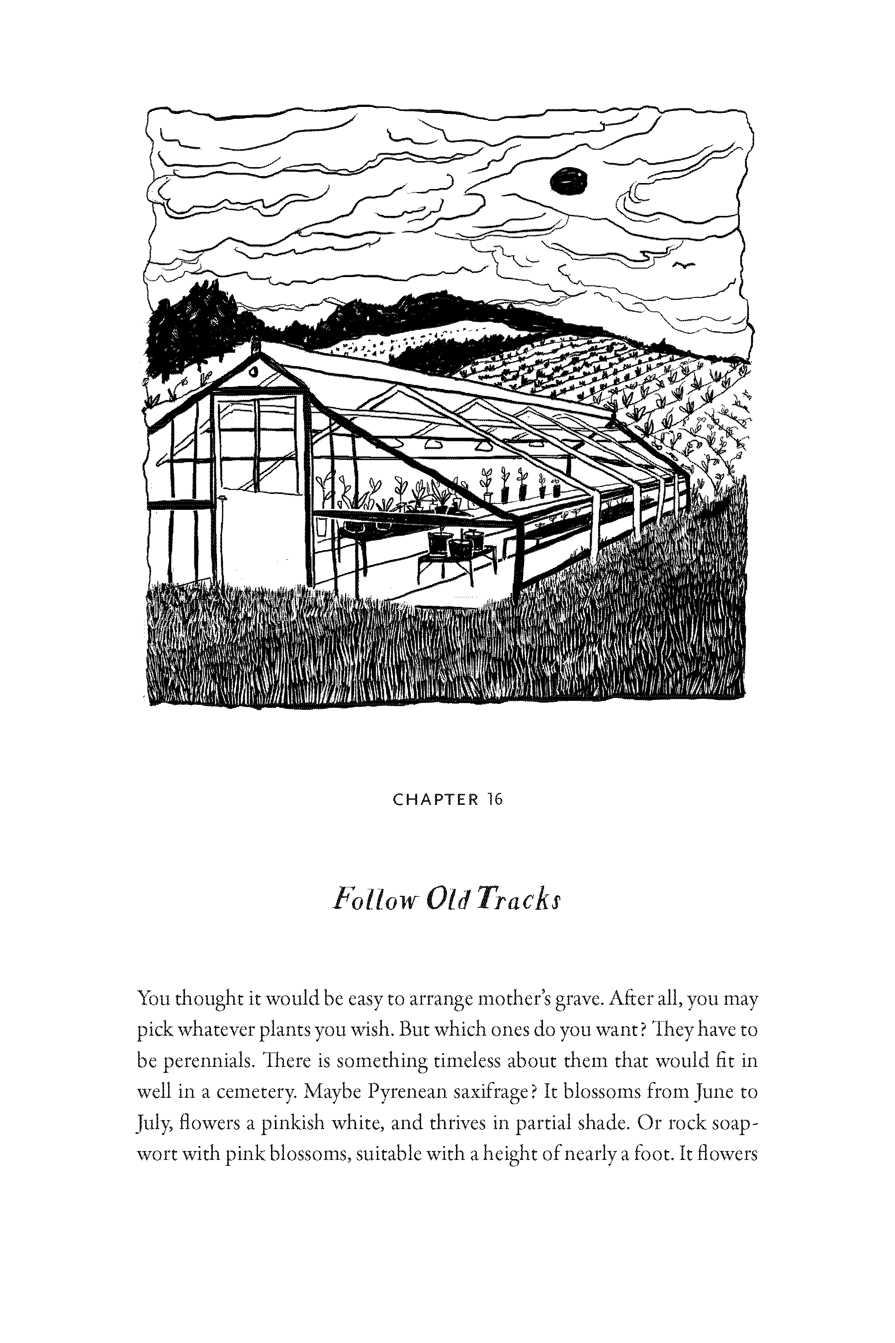 Bente Layout_Proof_Page_135 copy.png