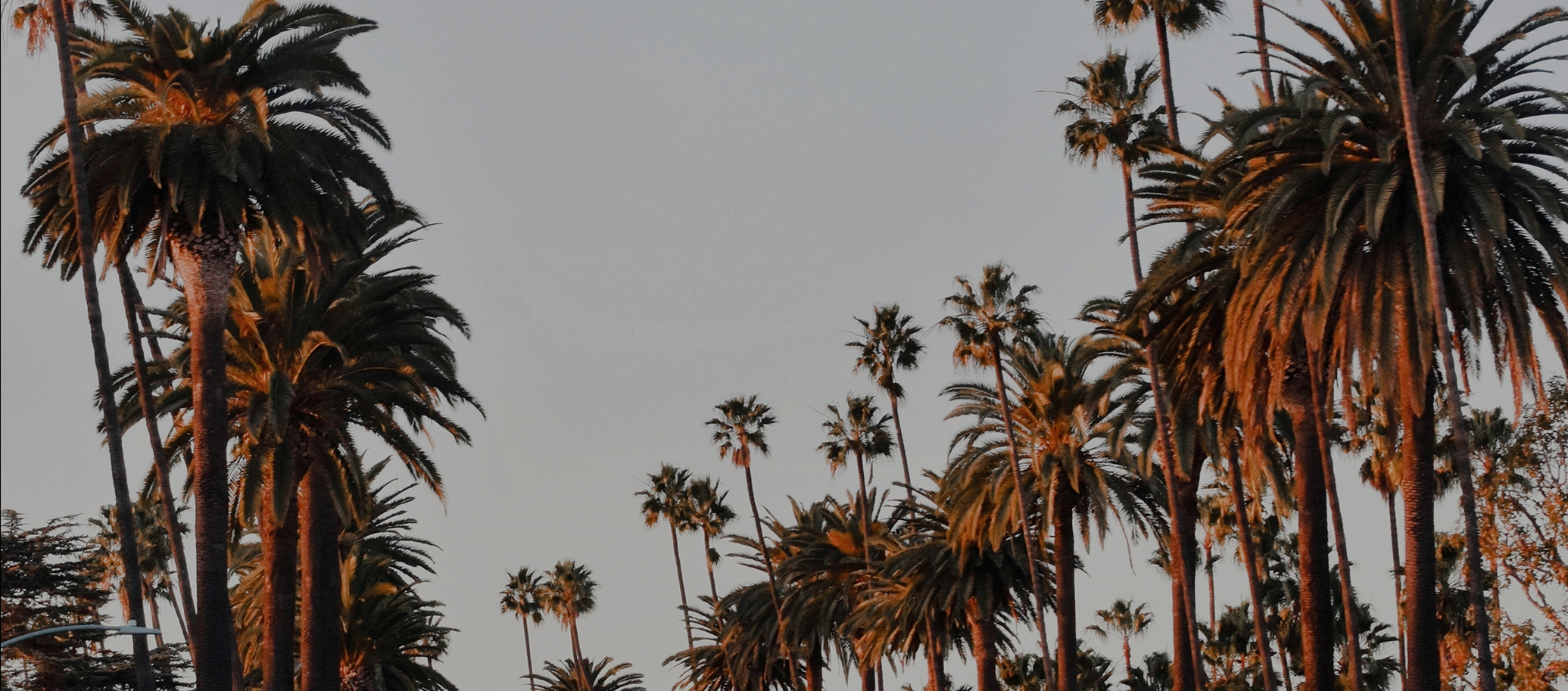 Luxury Stylist Shopping Experience.png