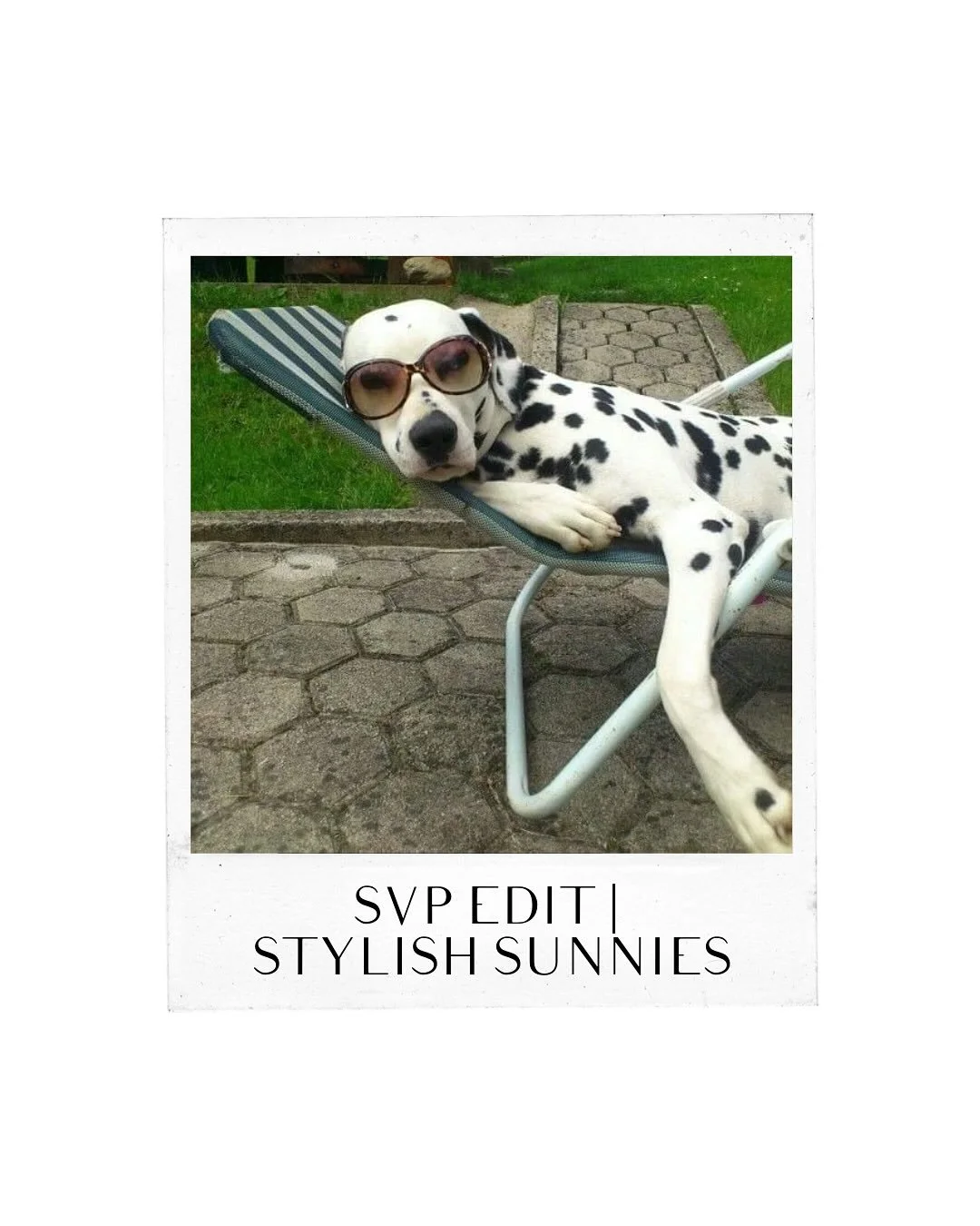 The dog days of summer are almost over. The sun may be shifting lower, but the statement stays strong. Sunglasses aren&rsquo;t just for summer&mdash;think of them as the season-spanning punctuation mark that carries you from golden September afternoo