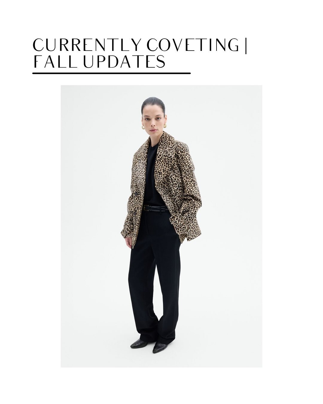 Comment &ldquo;fall style&rdquo; for shopping links to the pieces we are currently coveting. You can also shop the pieces by heading to Style Vous Plait&rsquo;s ShopMy &amp; LTK pages. The links are in the bio. ⁠

A new season calls for subtle shifts