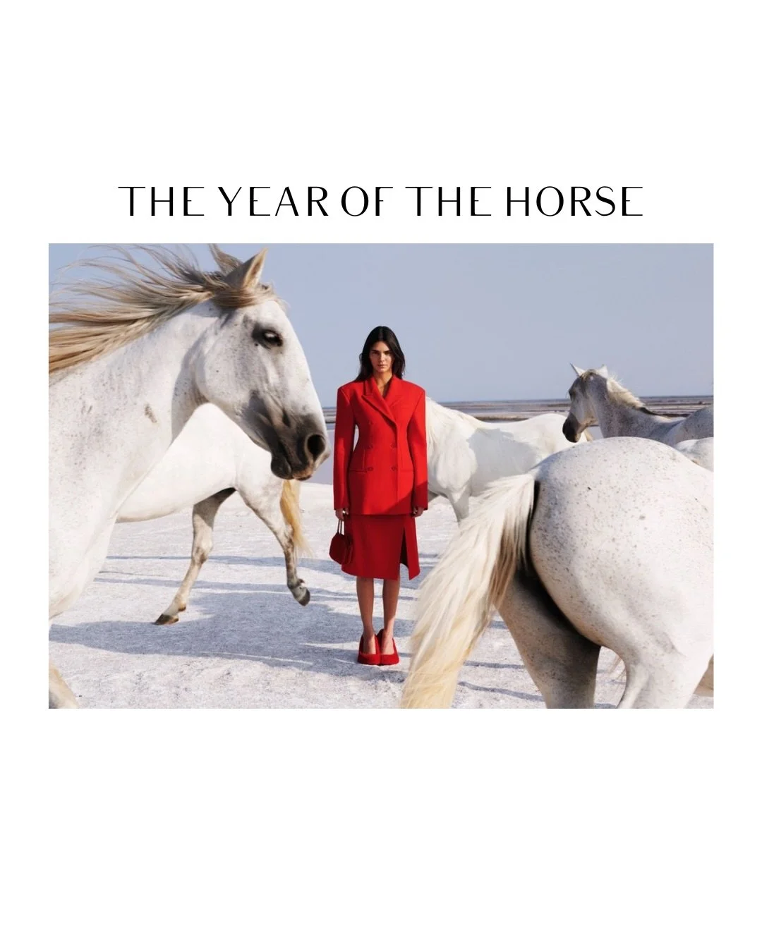 Comment &ldquo;horse&rdquo; for shopping links to these pieces. You can also shop this post by heading to Style Vous Plait&rsquo;s ShopMy &amp; LTK pages. The links are in the bio. ⁠

A stylish salute to the Year of the Horse. A mix of literal nods a