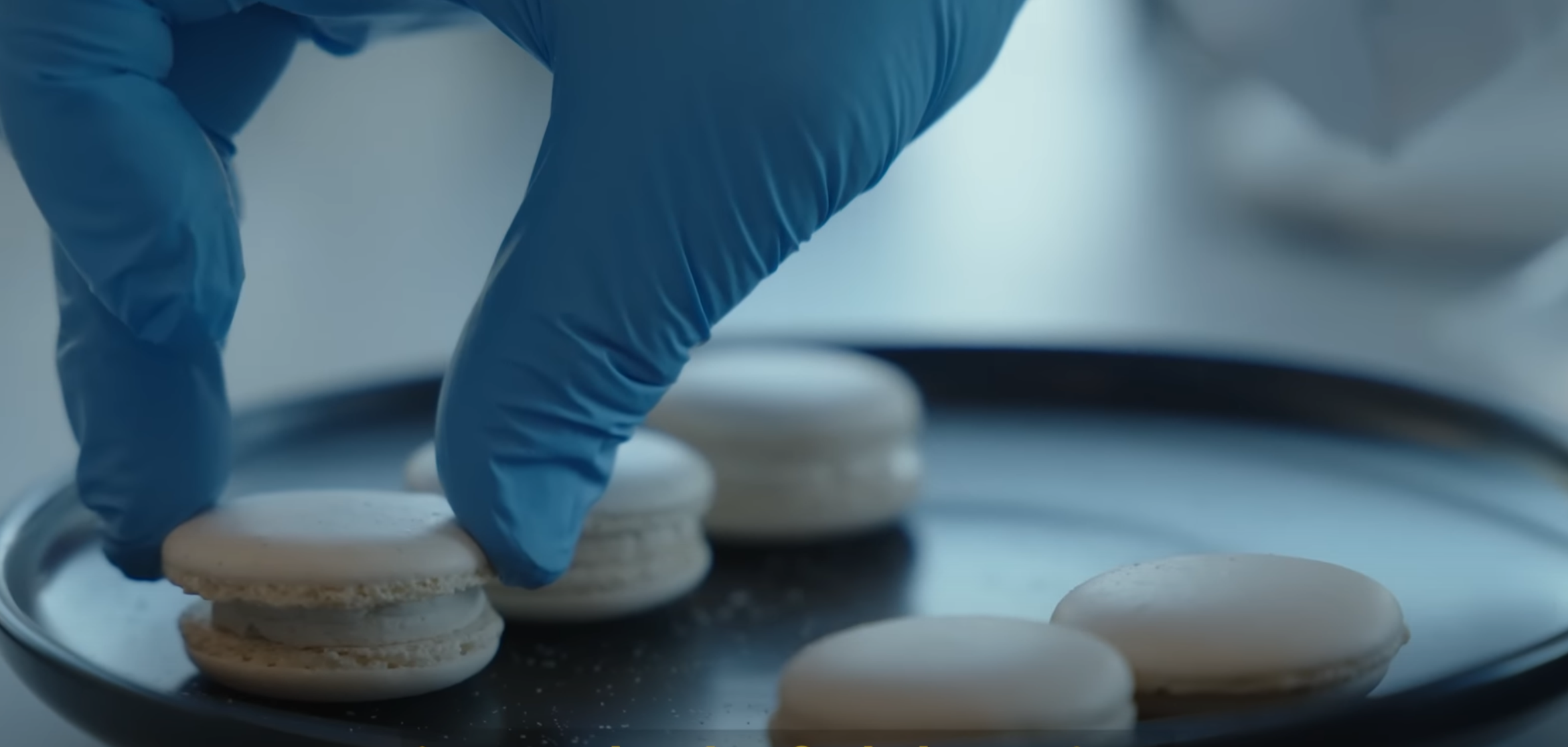 Screen Shot 2022-05-31 at 8.49.50 AM.png