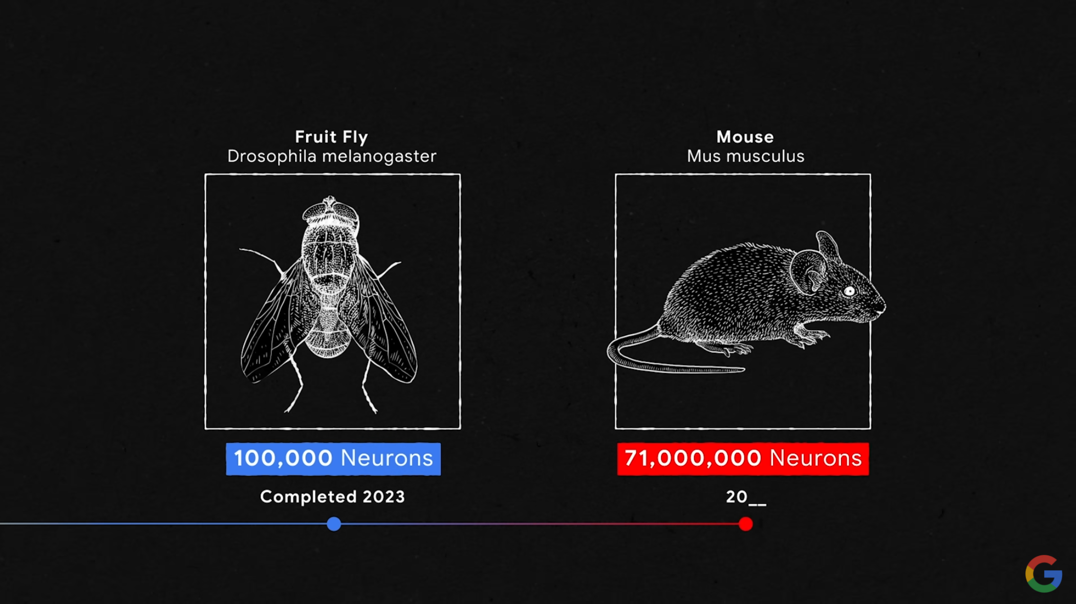 Screenshot 2024-06-11 at 10.39.51 AM.png