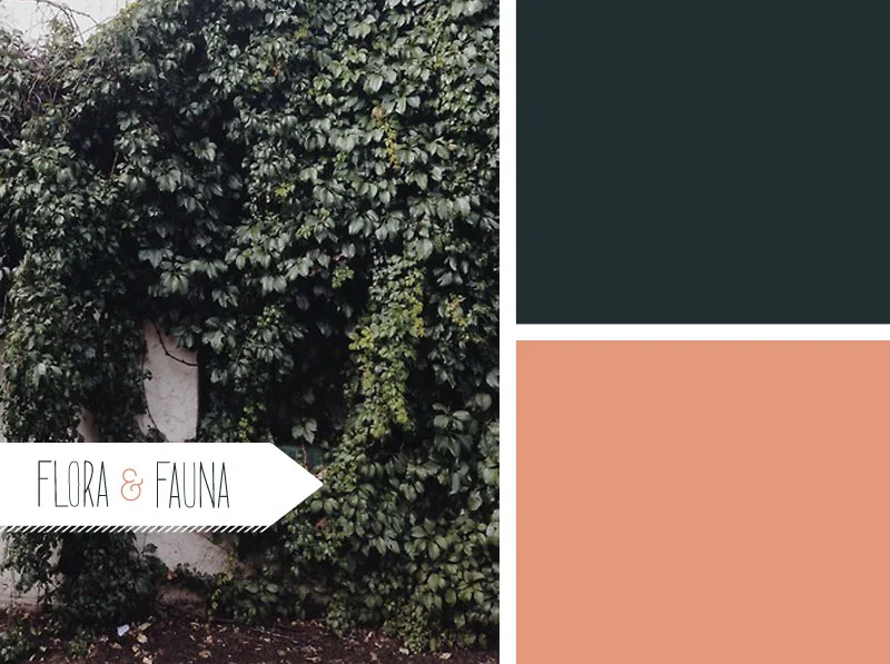 Color Theory: Flora + Fauna