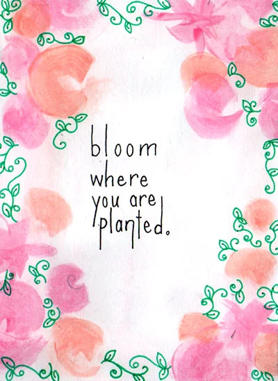 Blossoms &amp; Blogging