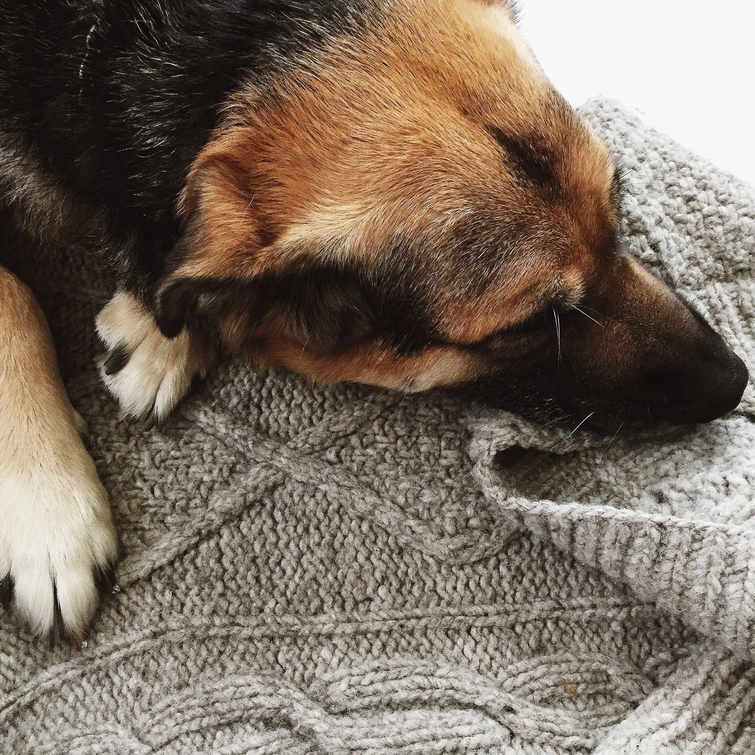 I'm Late, Keep Going