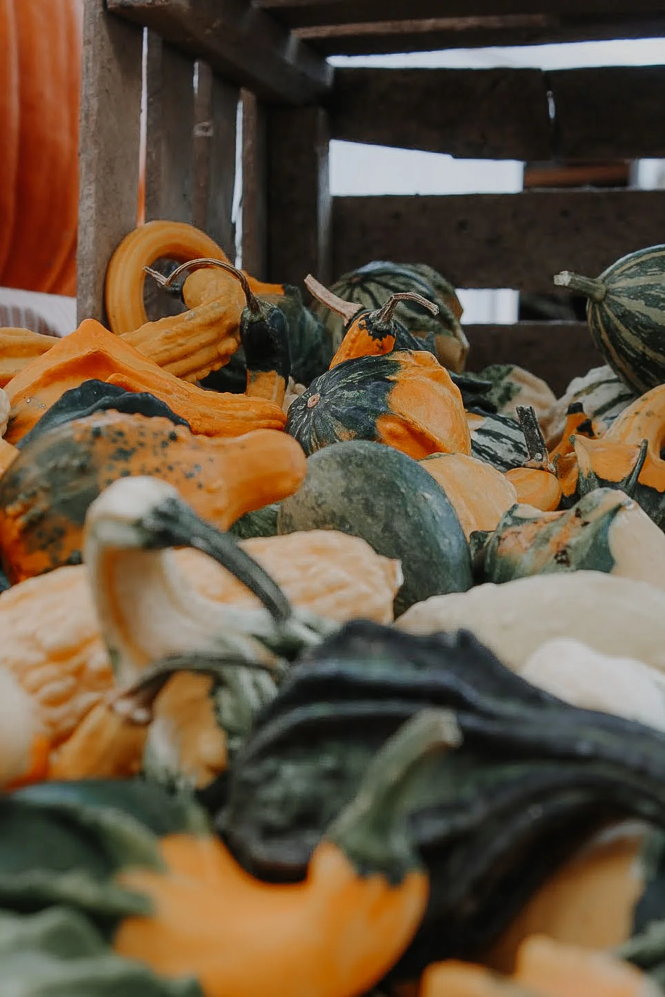 How To Eat Local...Without Spending Your Whole Paycheck