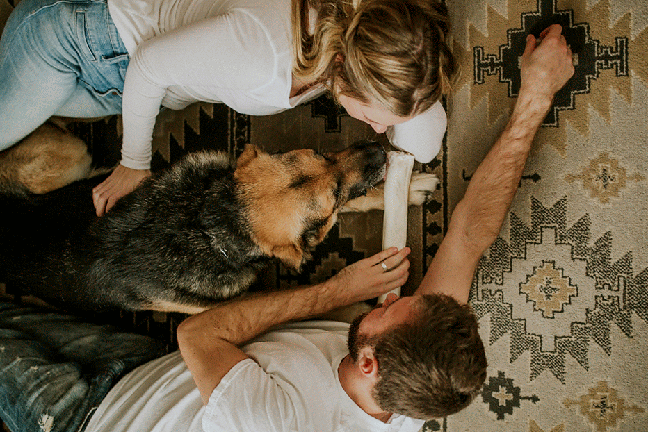 Moon Lodge Goodbyes, a Moving Announcement | Brave Girl blog