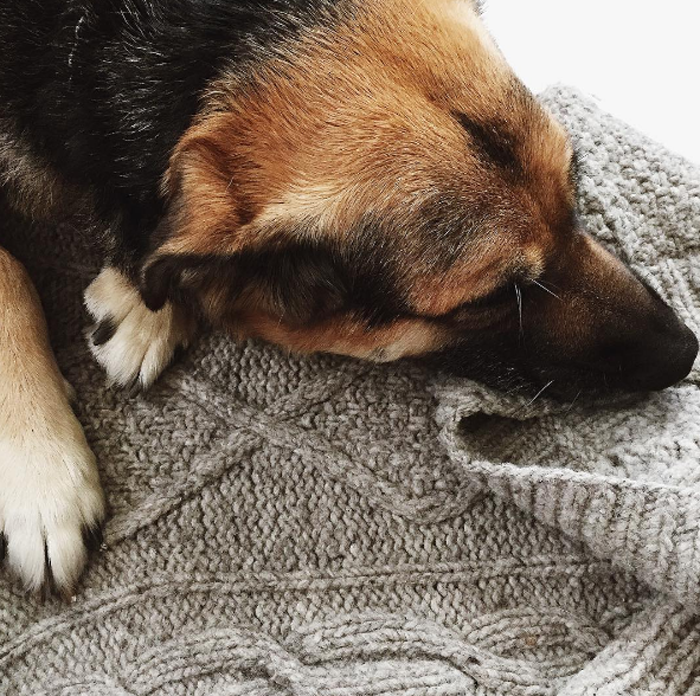 Brave Girl Blog | 2016 Year in Review