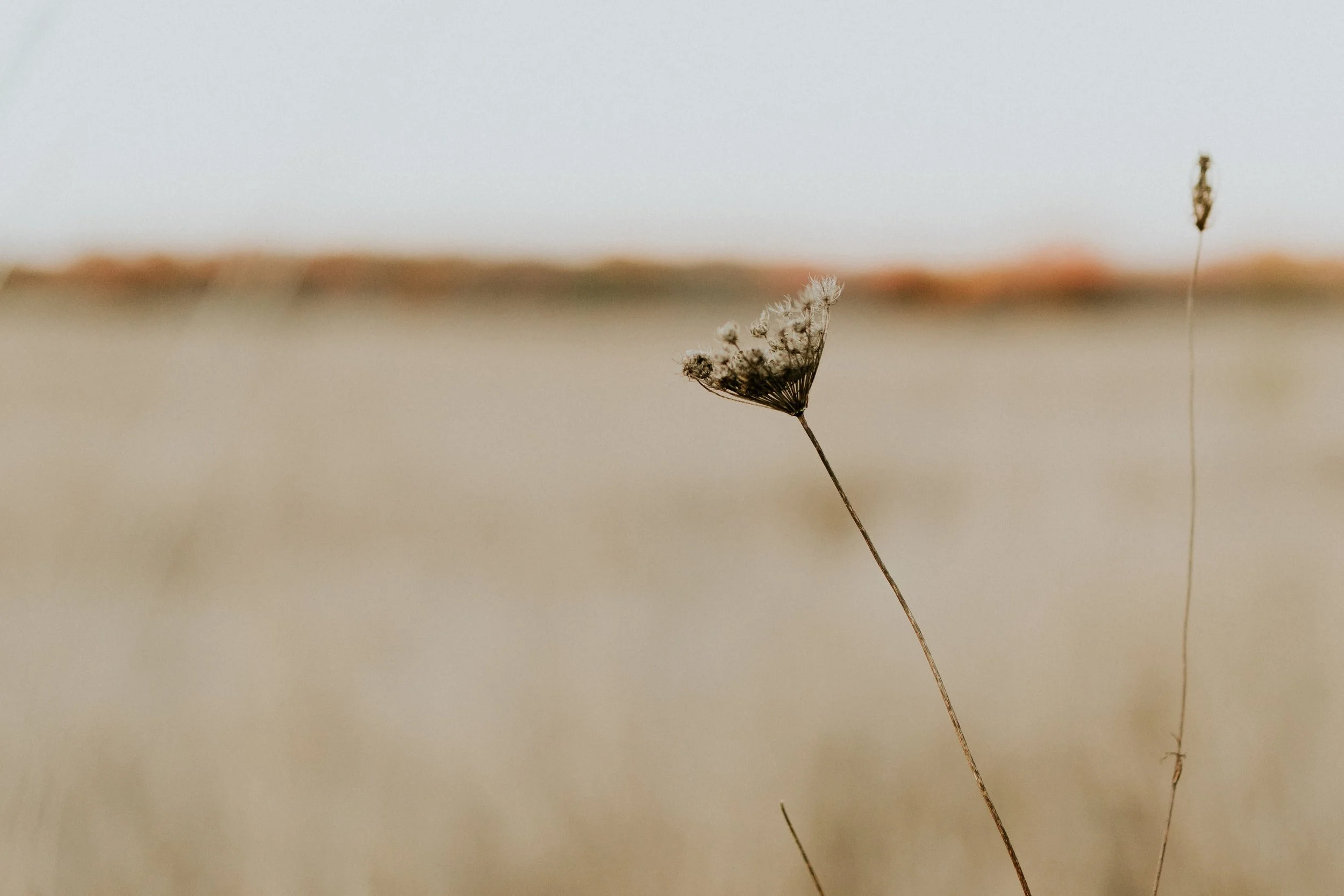 Winter Capsule 2018: thrifted wool coat | Brave Girl Spirit blog | photo by Leigh Ann Cobb Photography