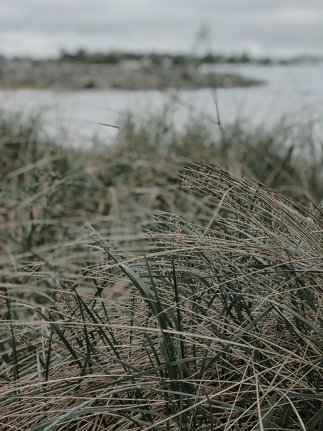 Urban to Rural: Back to the Moon Lodge | Emily Bode blog