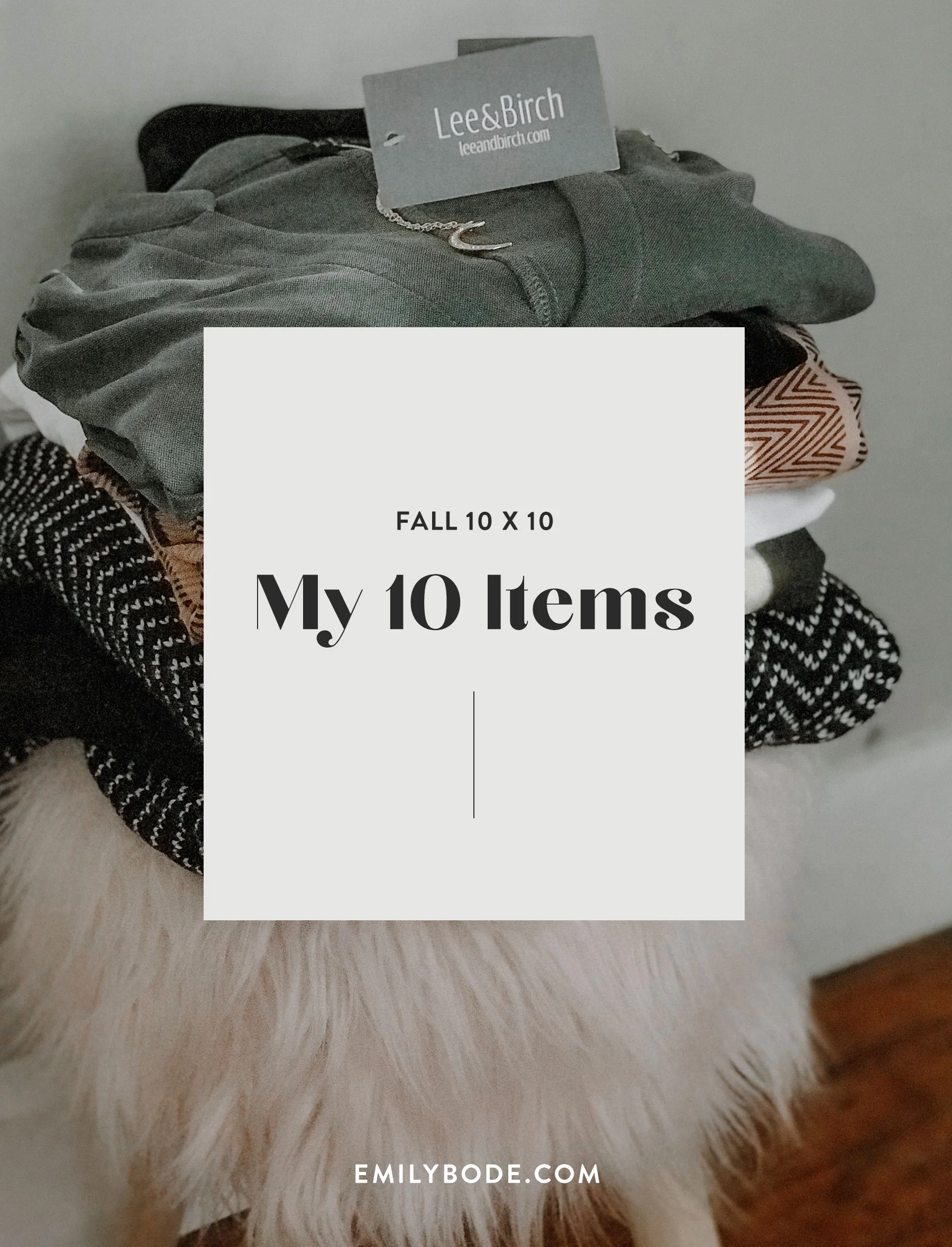 Fall 10x10 Challenge | Emily Bode