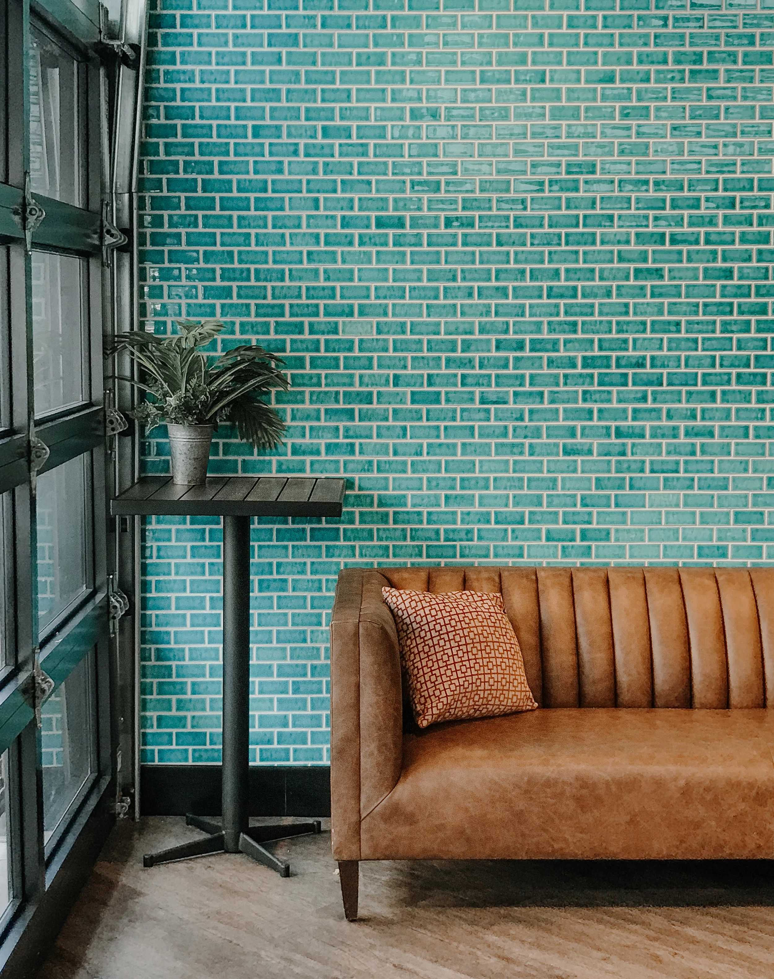 February 2019 Full Moon: life lately | Emily Bode blog