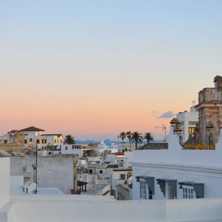 April 2019 Full Moon: life lately | Emily Bode blog