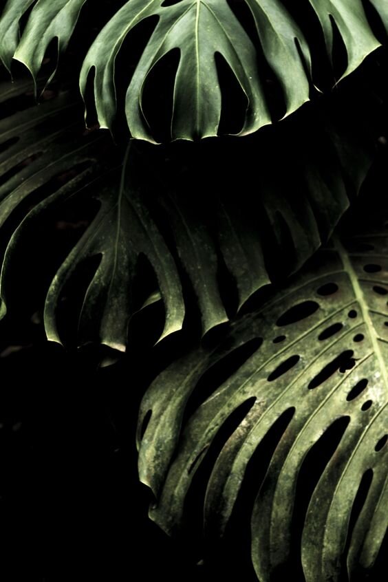 Moon Lodge Bathroom Remodel, Phase 1  | Emily Bode | Image via Pinterest