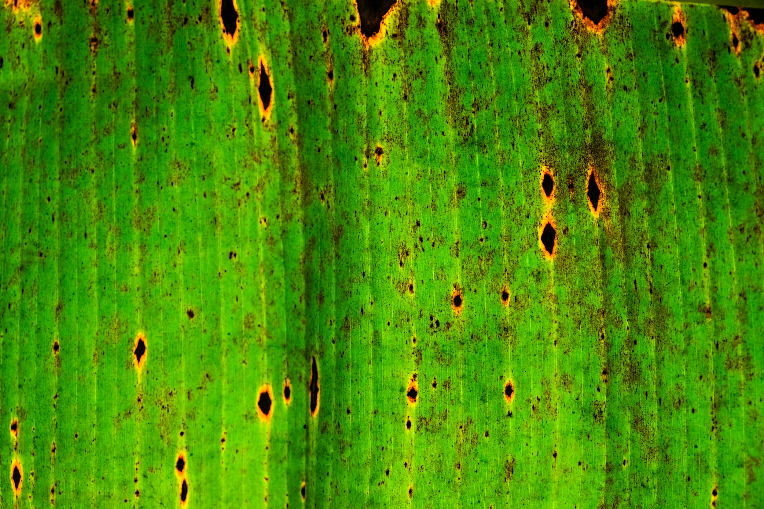 Microsoft Dynamics 365 Customer Insights